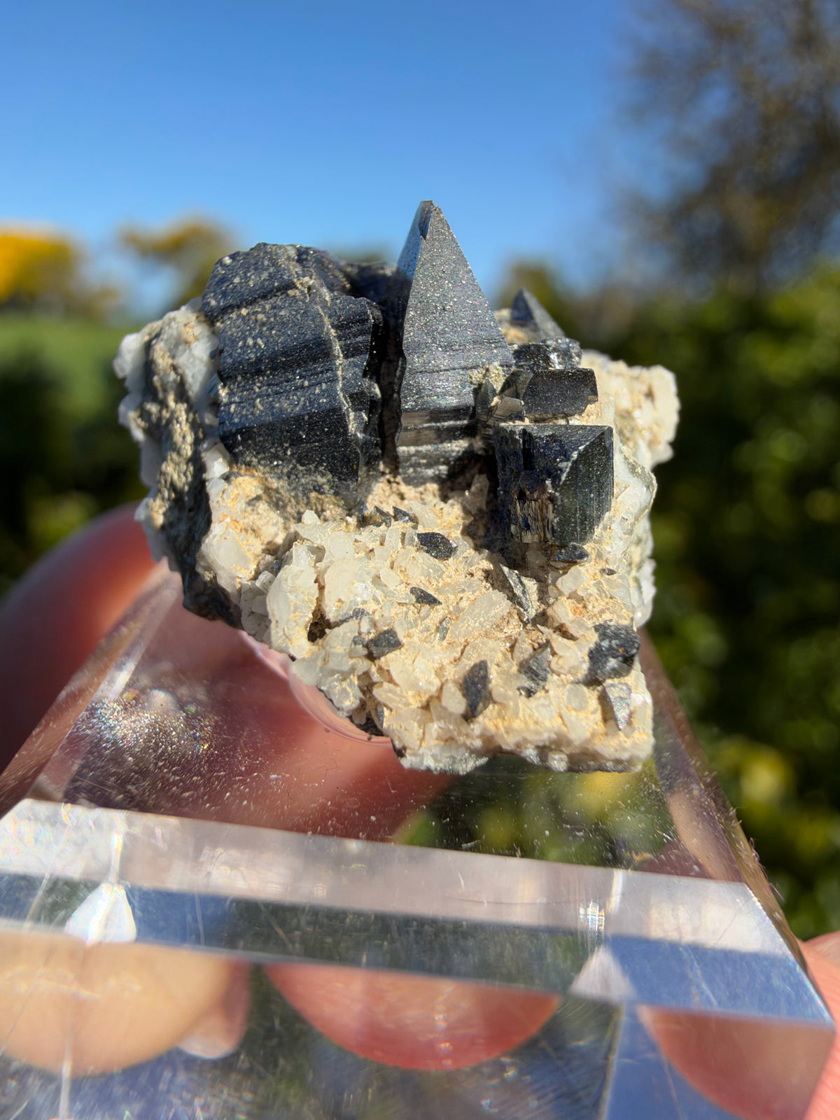 Anatase, Matskorhæ, Norway