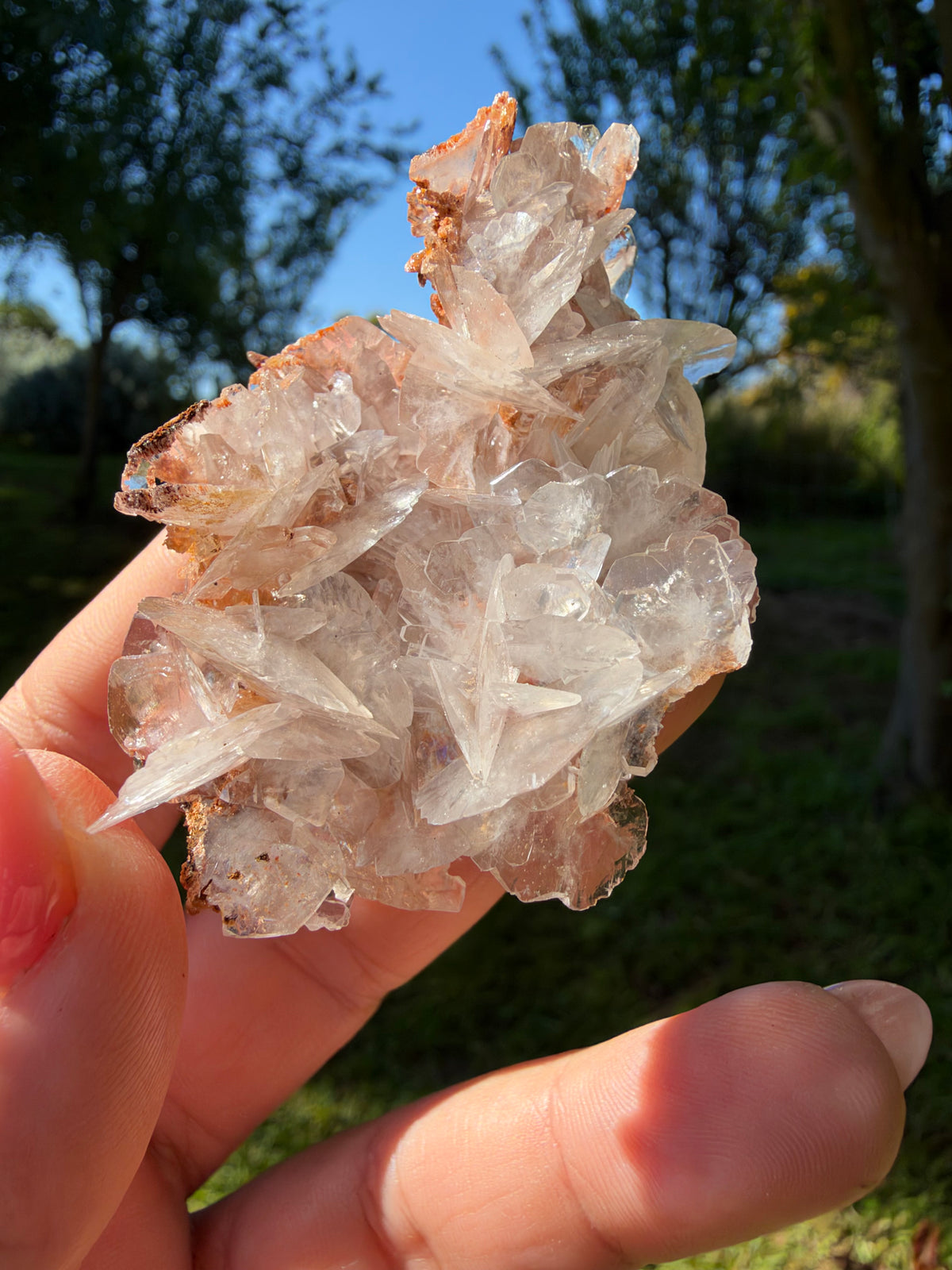 'Mouse Ear' Calcite, Durango, Mexico