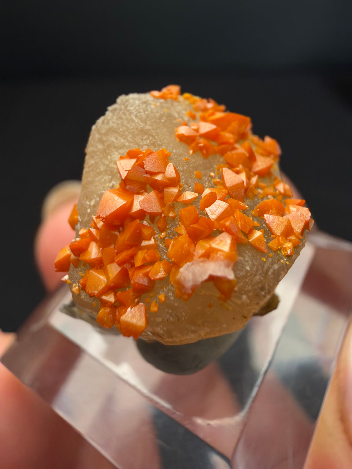Wulfenite on Cerussite, Mibladen, Morocco