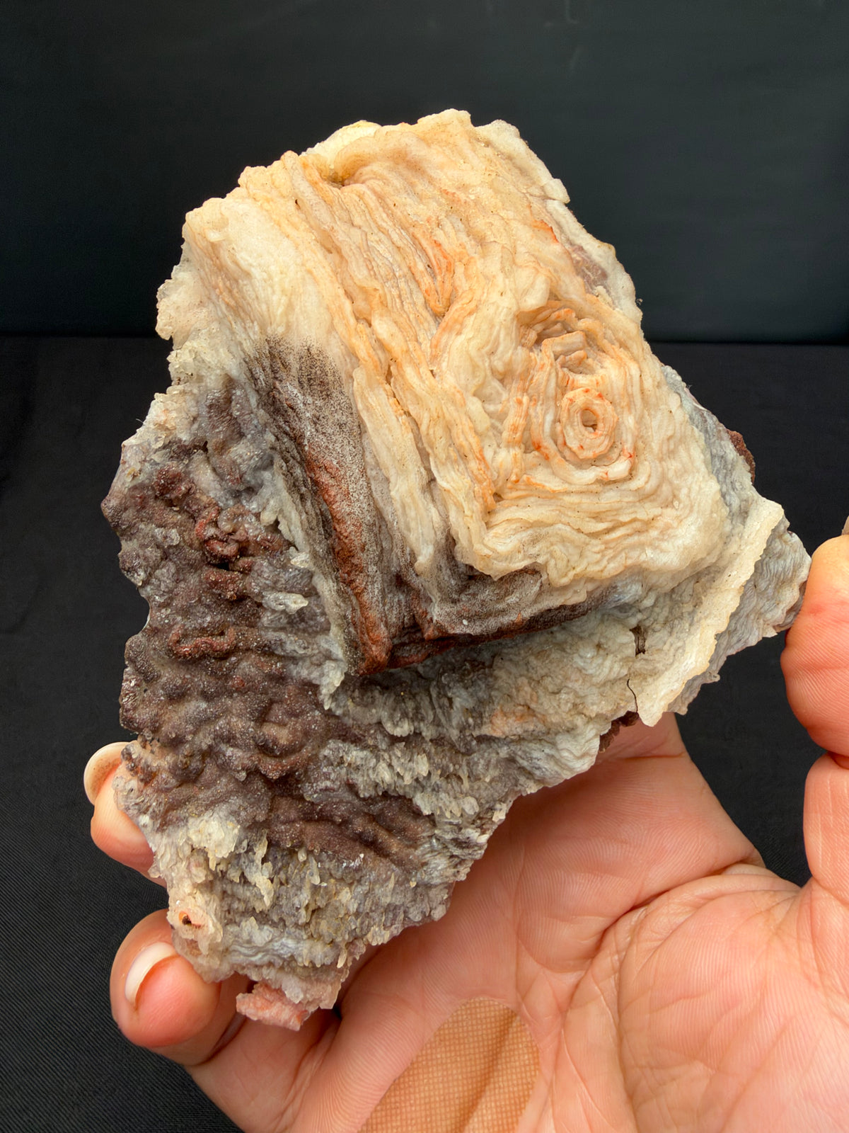 Chalcedony cast after Halite or Fluorite (Pseudomorph), Sidi Rahal, Morocco