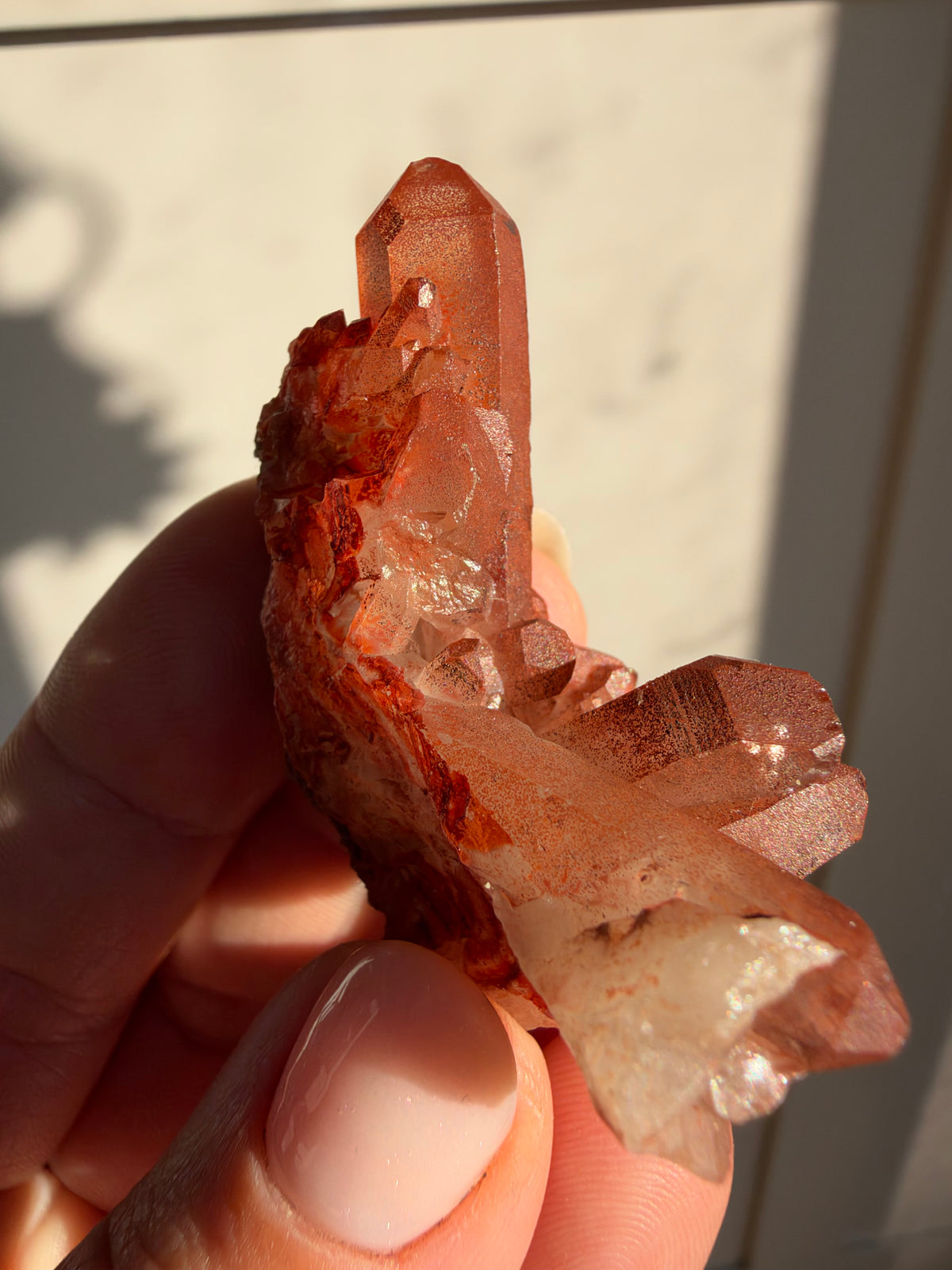 Ferruginous Quartz, Tinejdad, Morocco