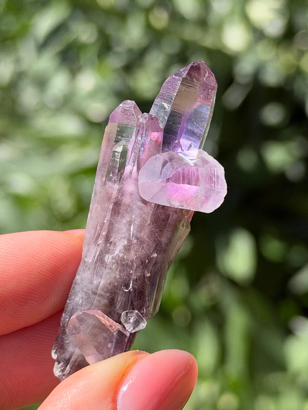 6cm Amethyst, Guerrero, Mexico