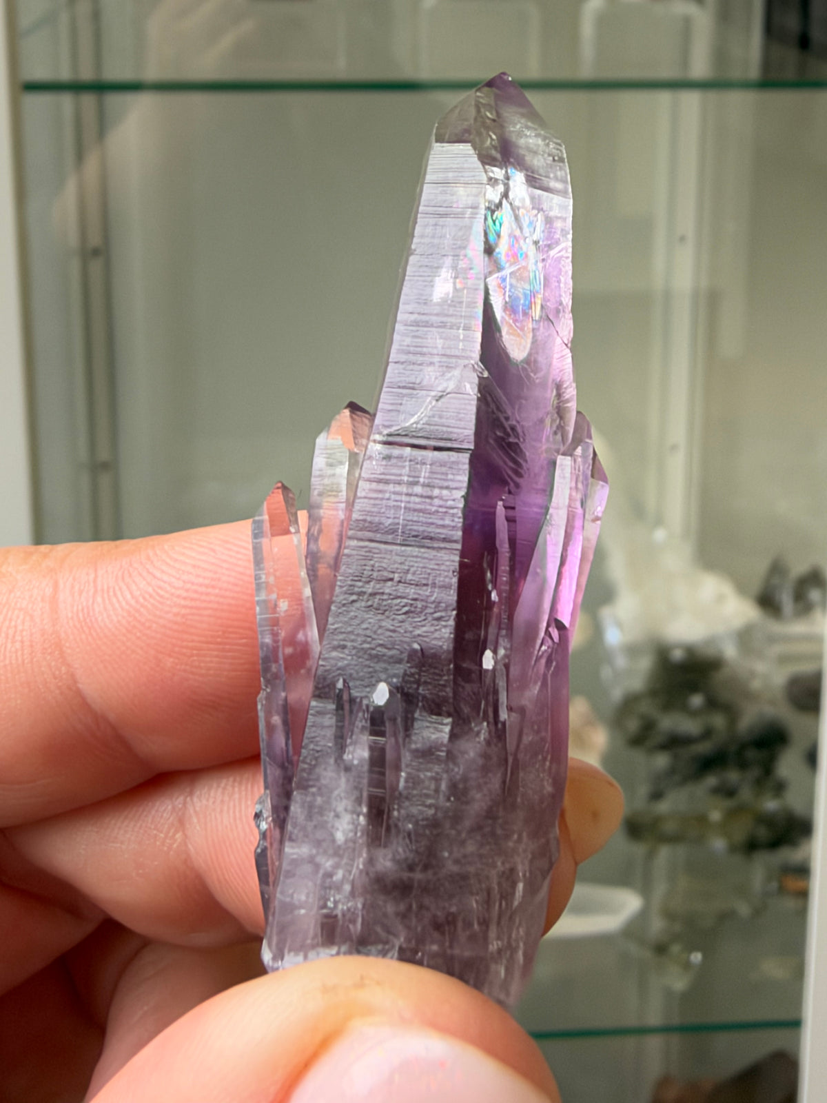 6.2cm Amethyst, Guerrero, Mexico