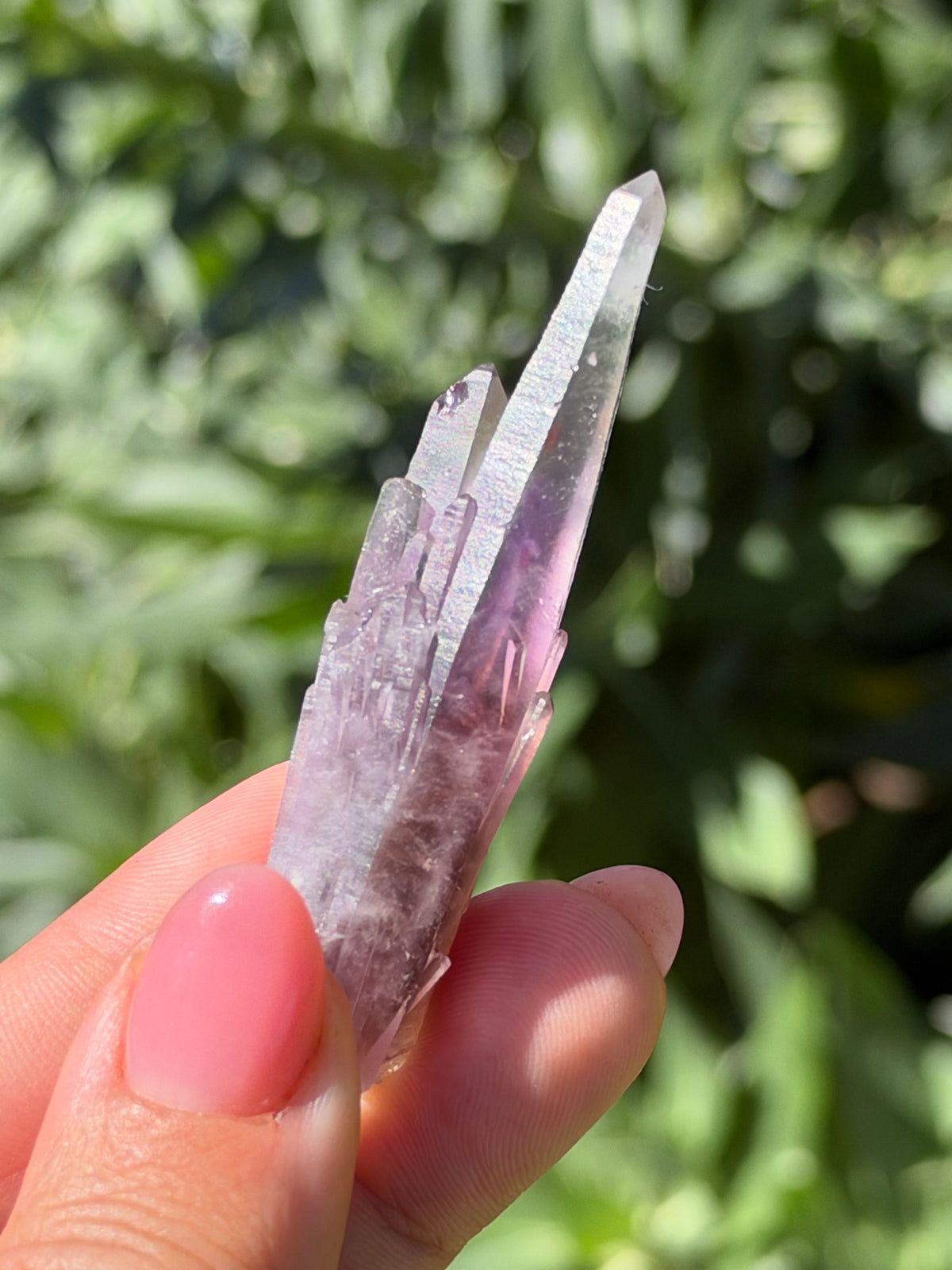 6.4cm Amethyst, Guerrero, Mexico