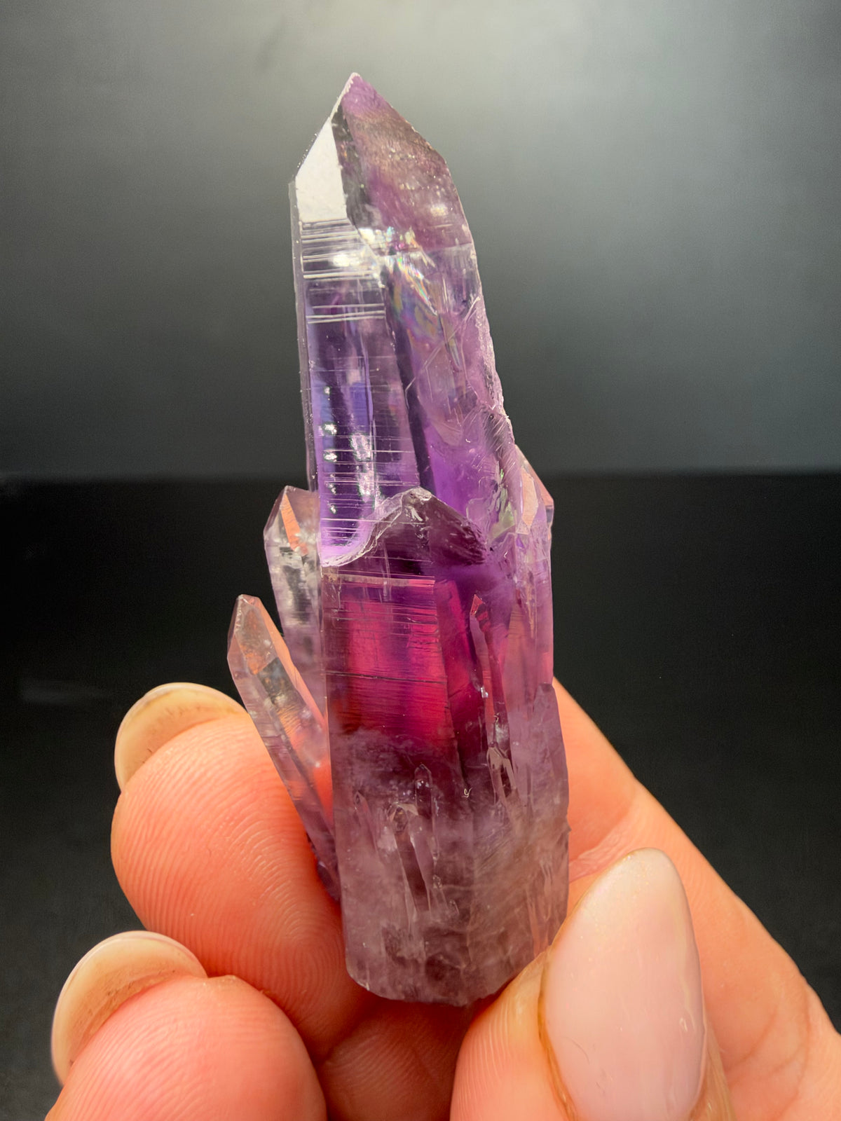 6.2cm Amethyst, Guerrero, Mexico