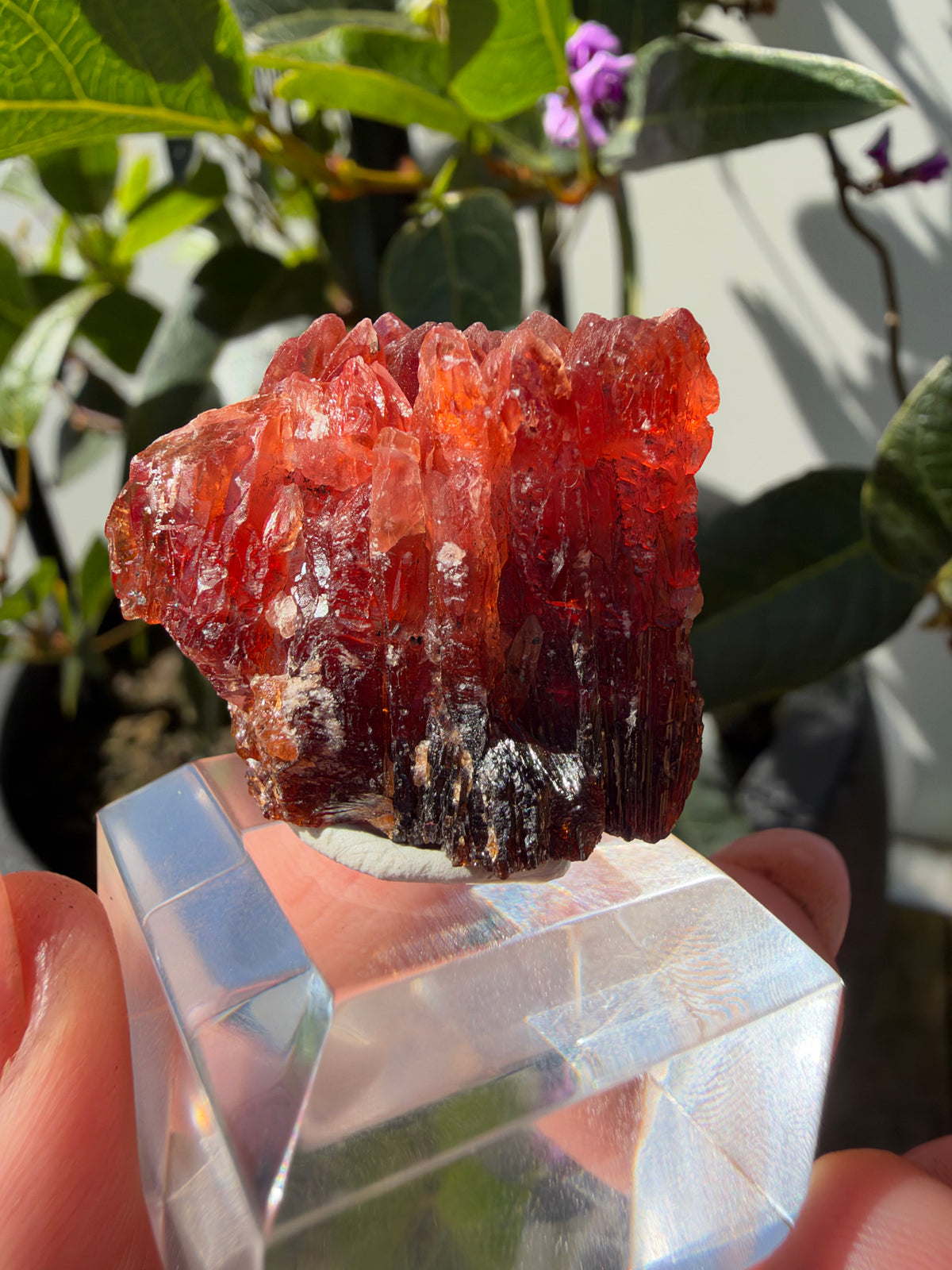 20.8g Rhodochrosite, N'Chwaning Mine, South Africa