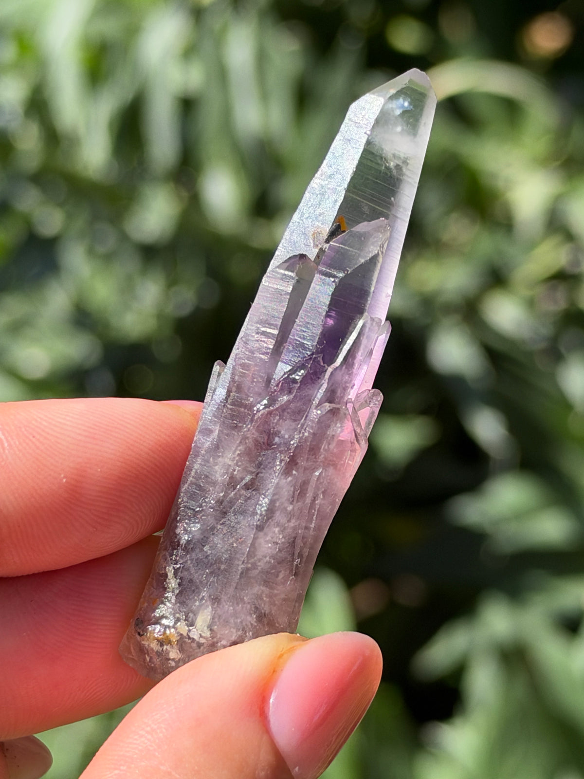 6.4cm Amethyst, Guerrero, Mexico
