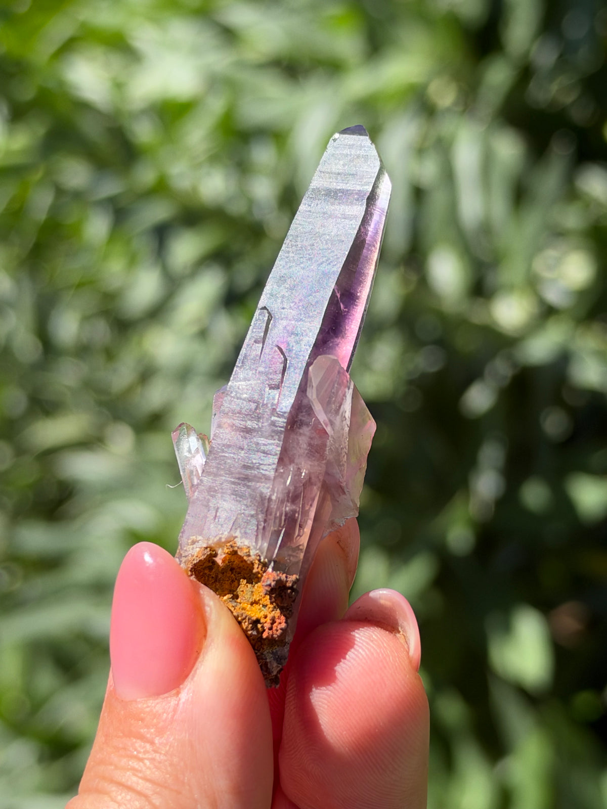 6.4cm Amethyst, Guerrero, Mexico