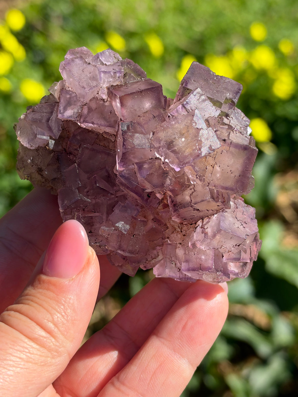 Fluorite, Turkey