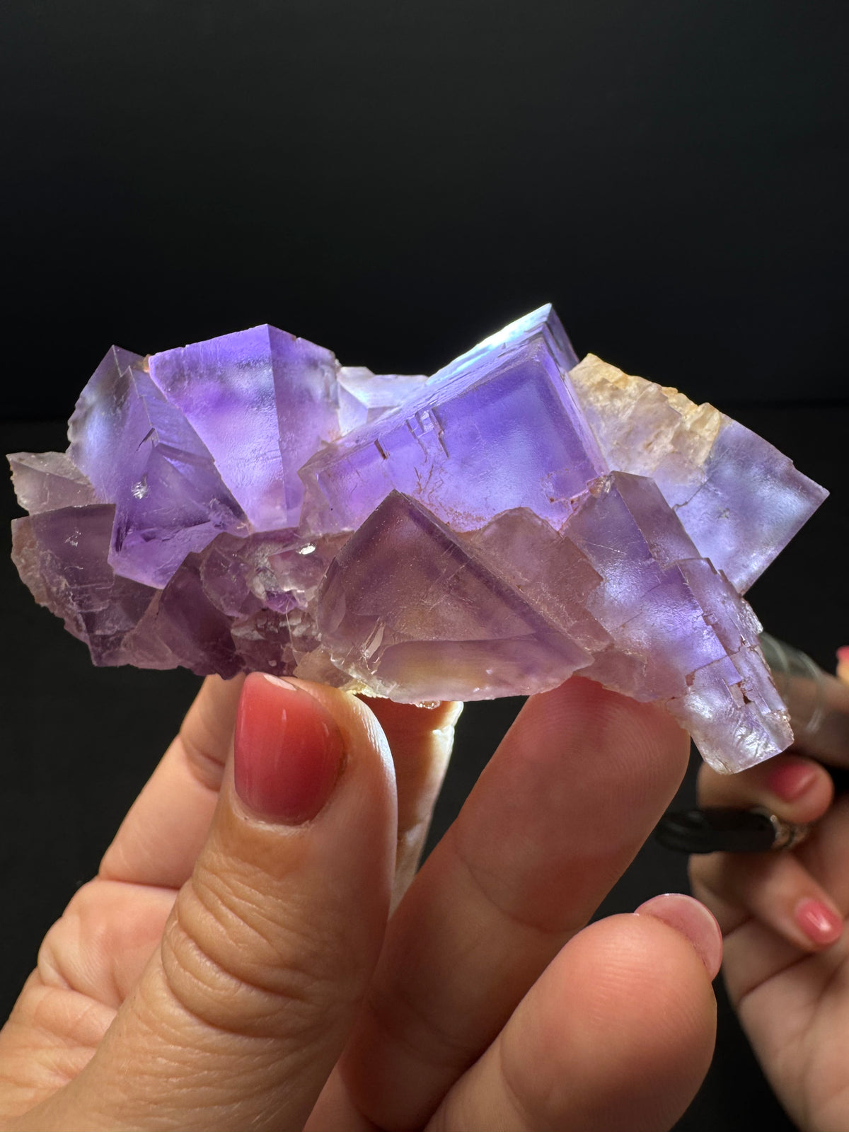 Purple Fluorite, Berbes, Spain