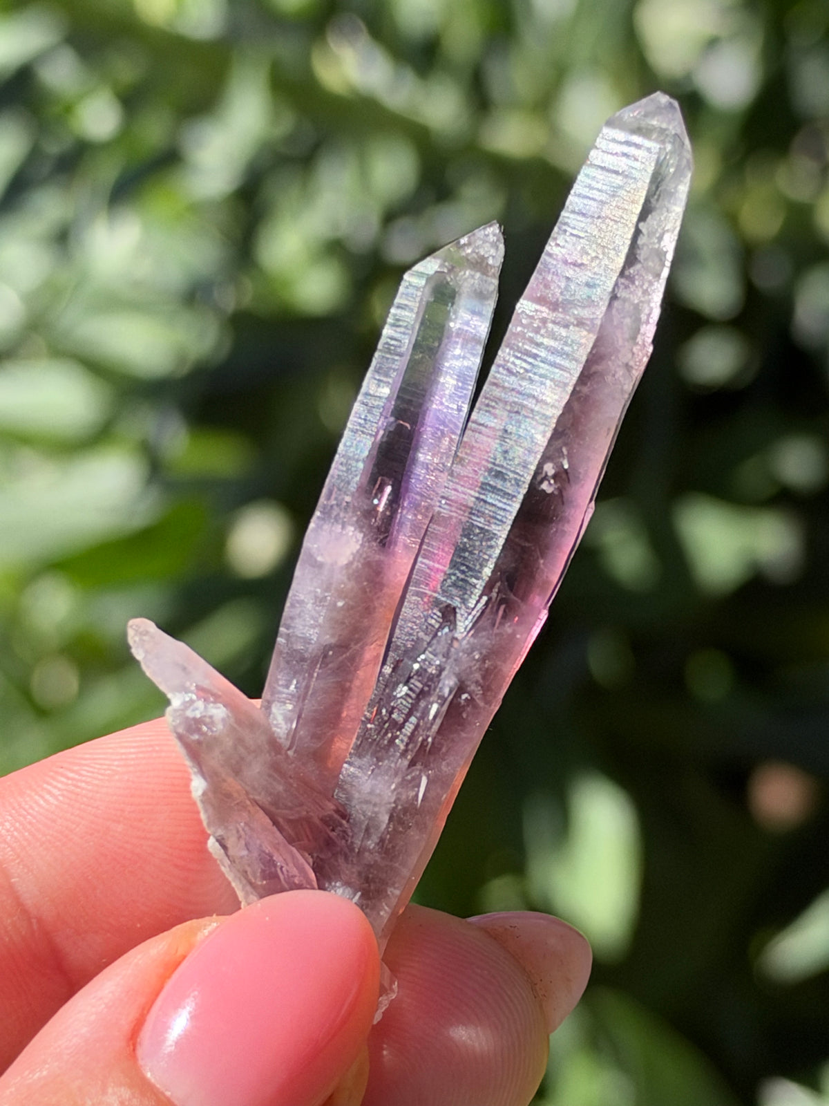 6.5cm Amethyst, Guerrero, Mexico