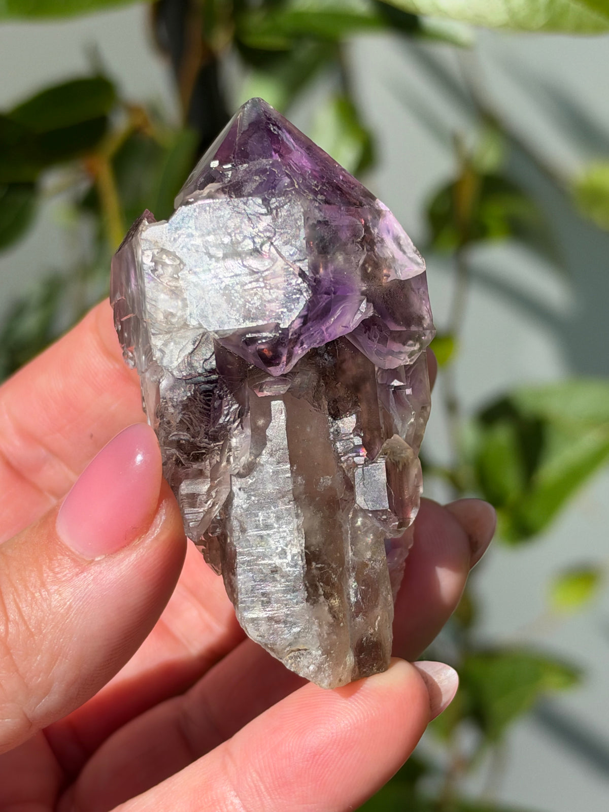 Amethyst Scepter, Little Gem Mine, Montana, USA