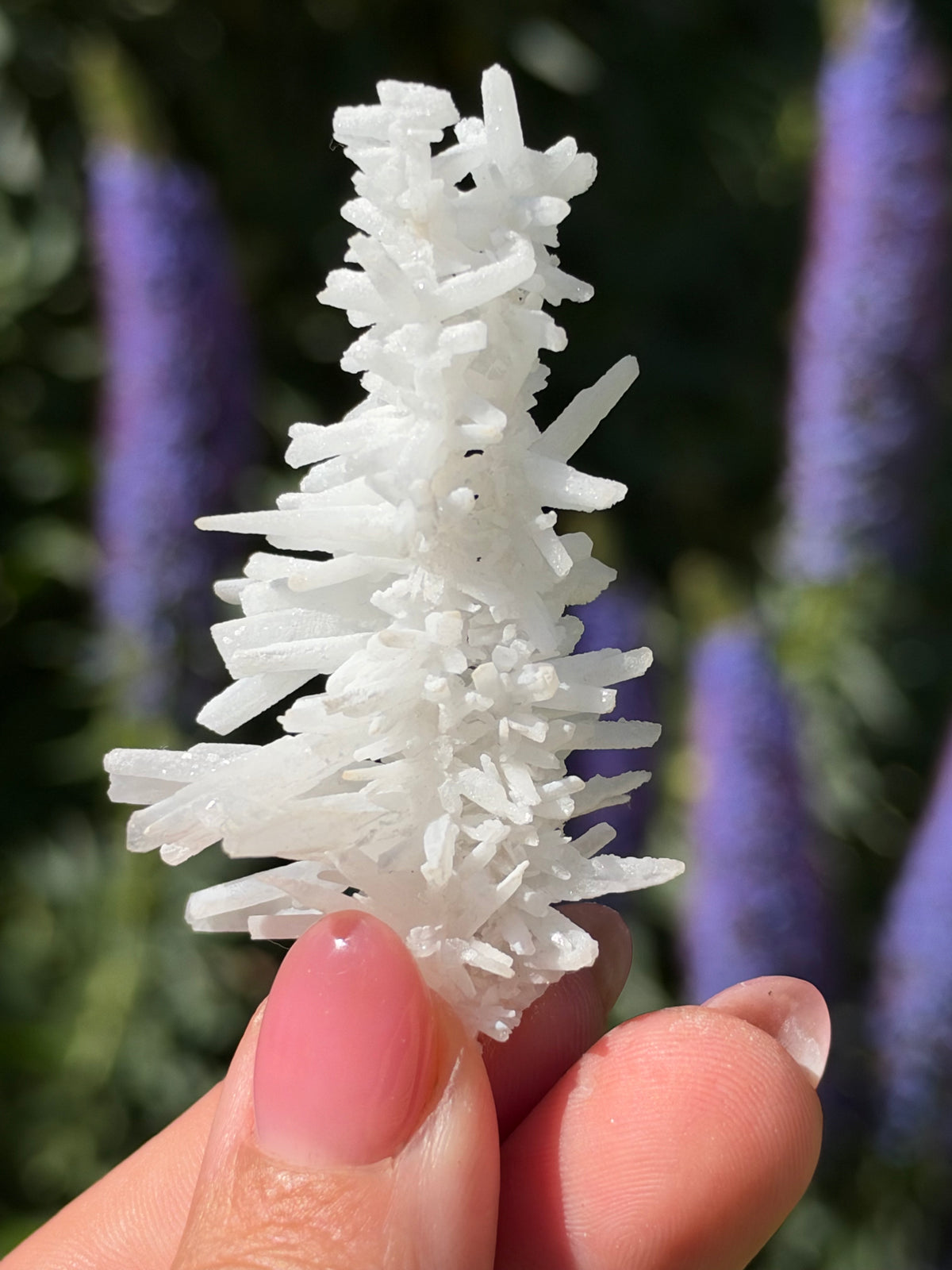 Aragonite, Kharan, Pakistan