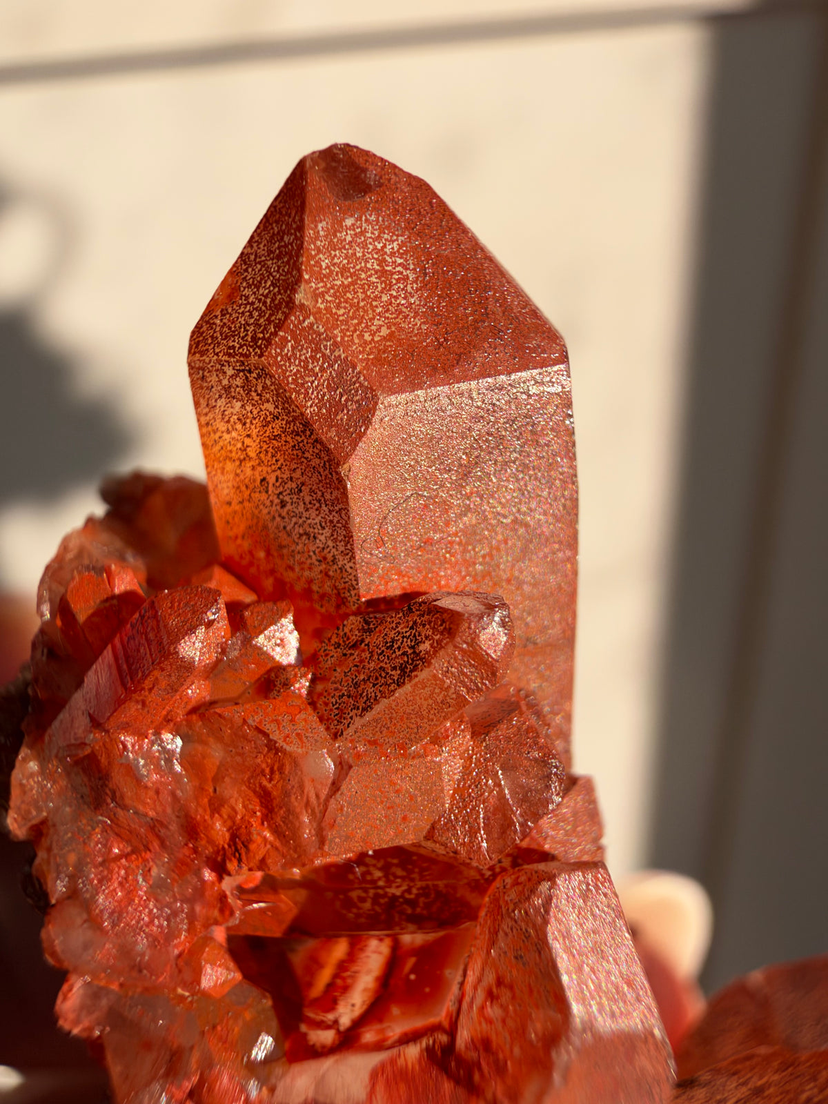 Ferruginous Quartz, Tinejdad, Morocco
