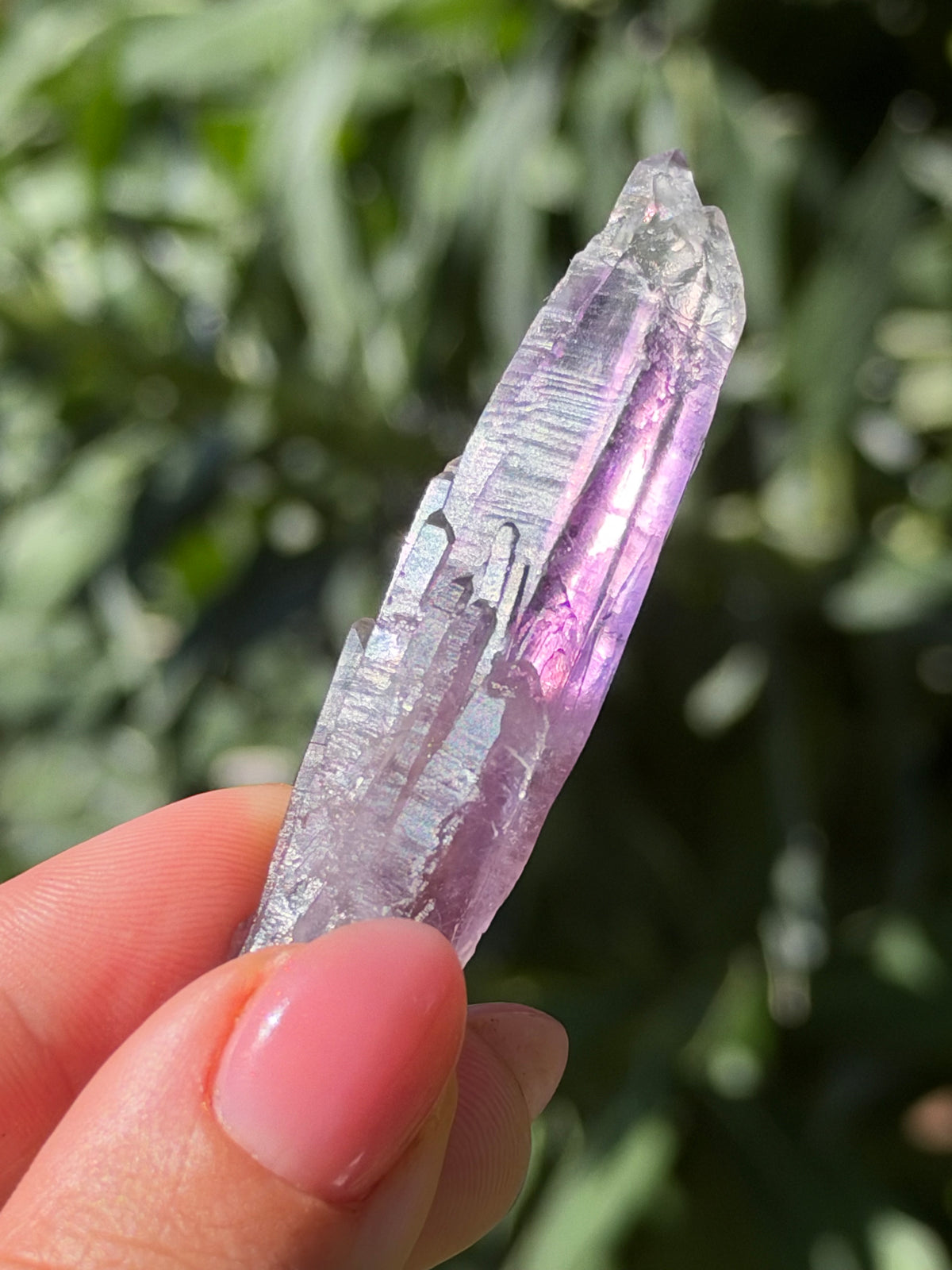 6.7cm Amethyst, Guerrero, Mexico