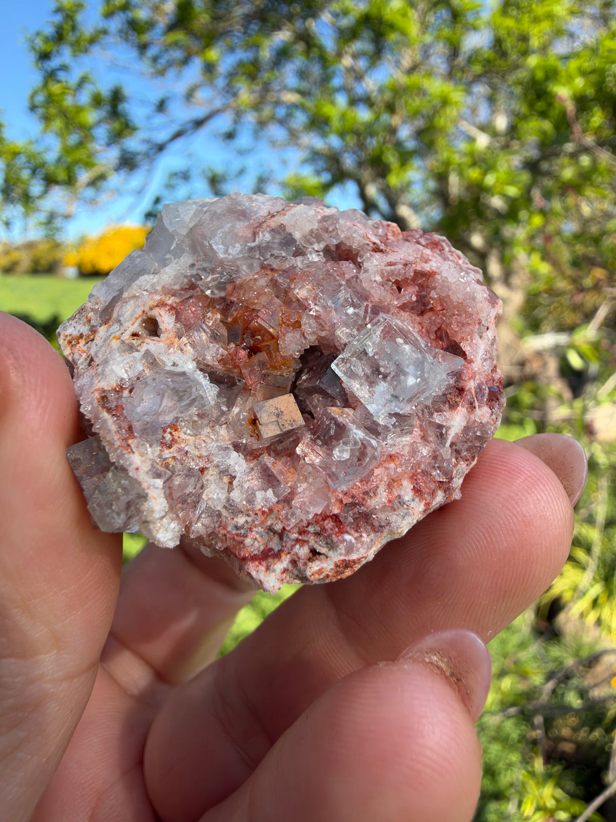 Lilac Fluorite, Hilarion Mine, Lavrion, Greece