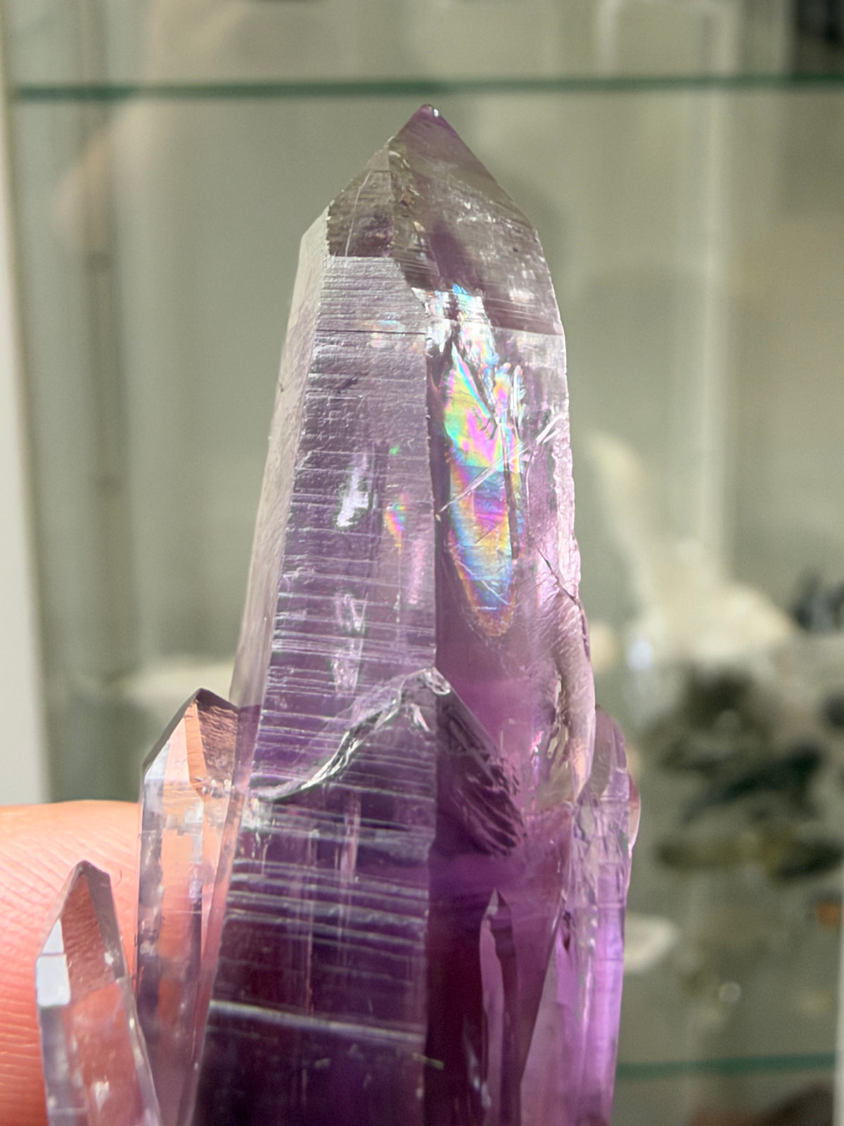 6.2cm Amethyst, Guerrero, Mexico
