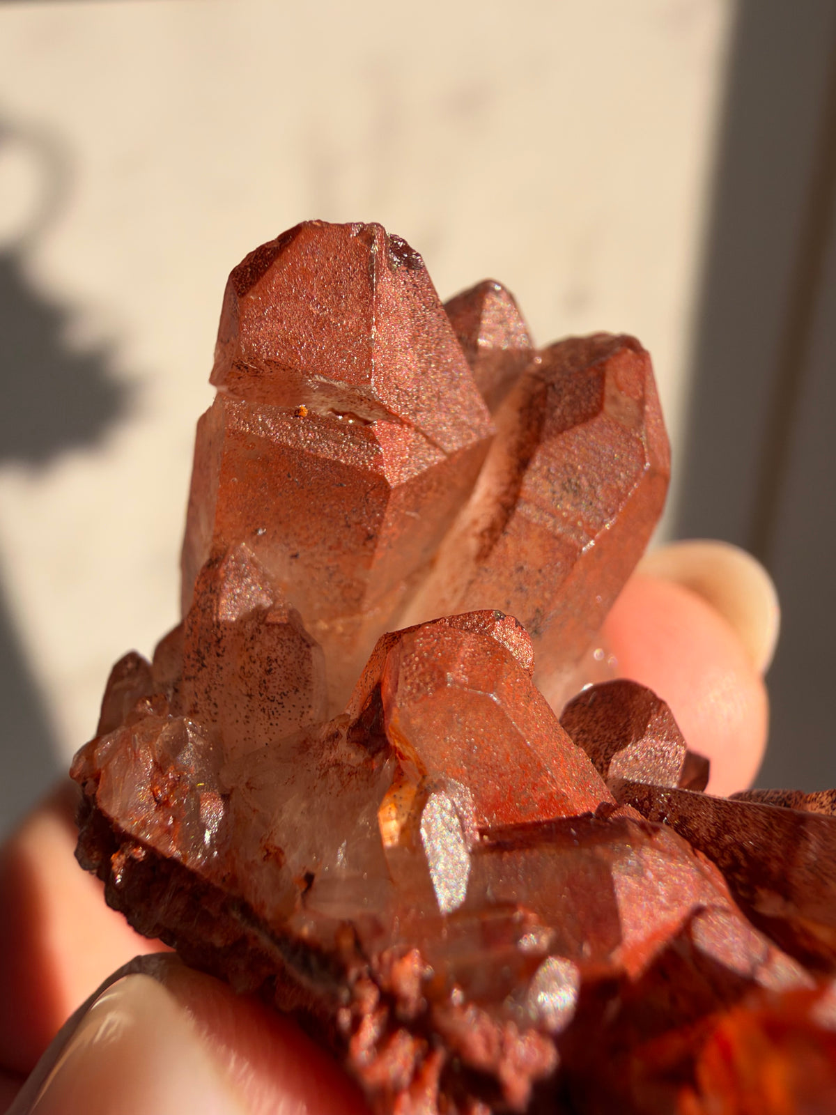 Ferruginous Quartz, Tinejdad, Morocco