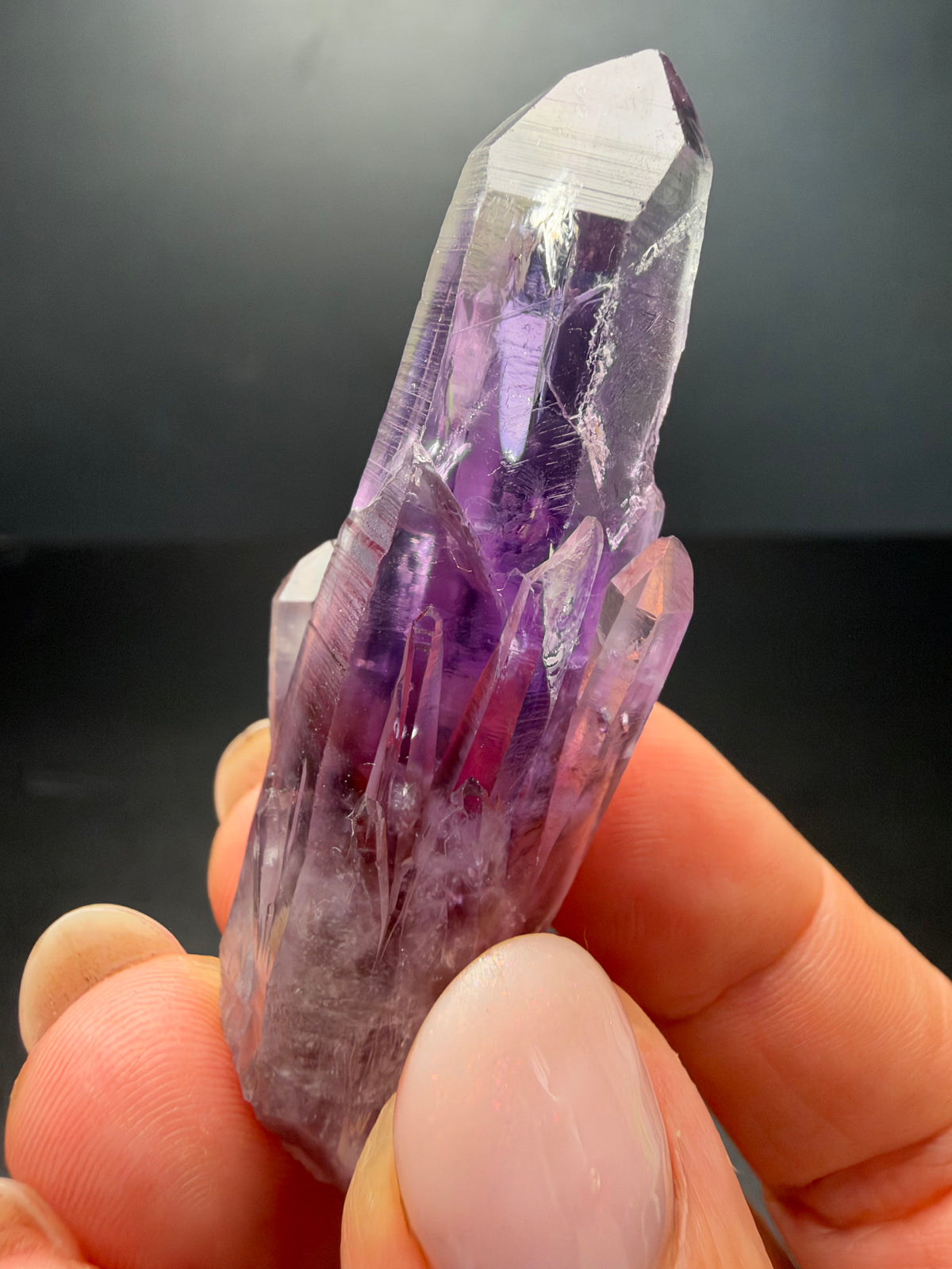 6.2cm Amethyst, Guerrero, Mexico