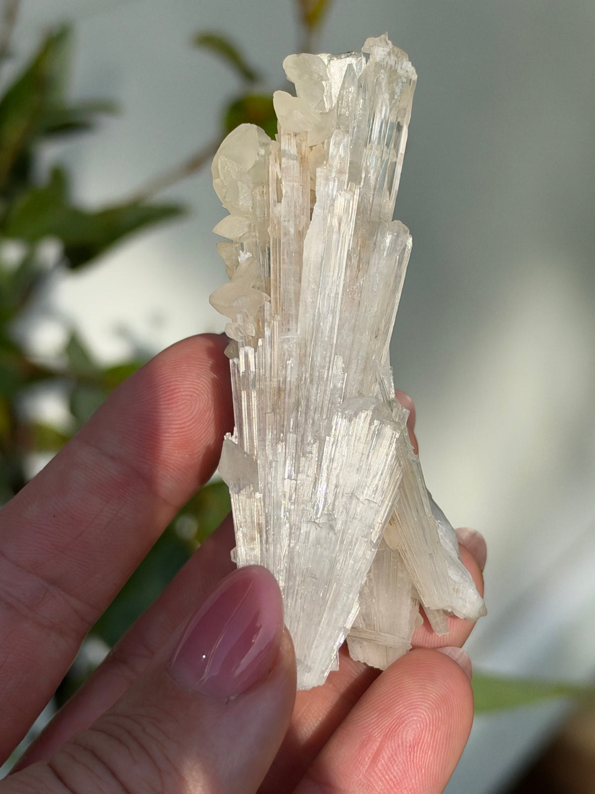Calcite on Scolecite, Pune, India