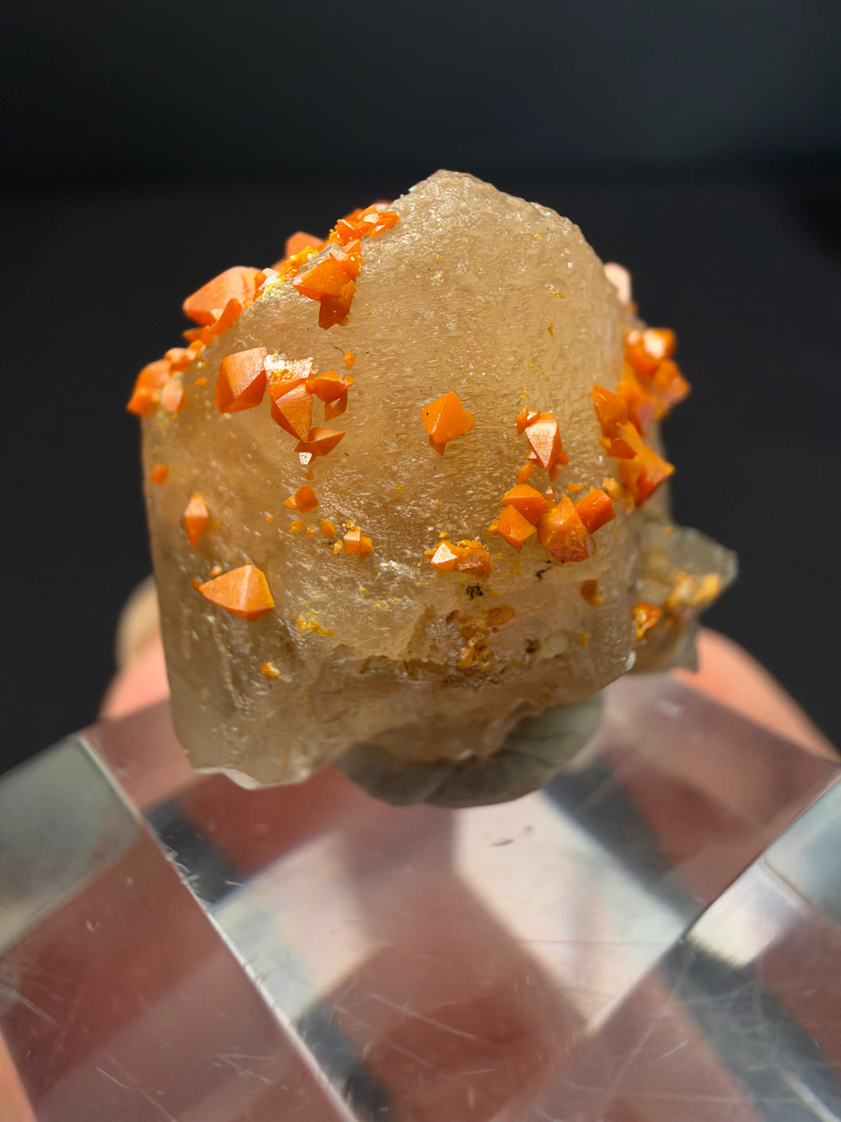Wulfenite on Cerussite, Mibladen, Morocco