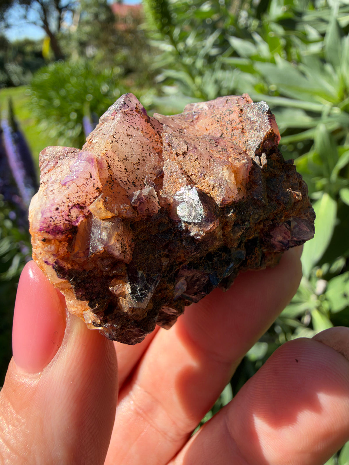 Octahedral Fluorite, Soldiers Cap, QLD, Australia