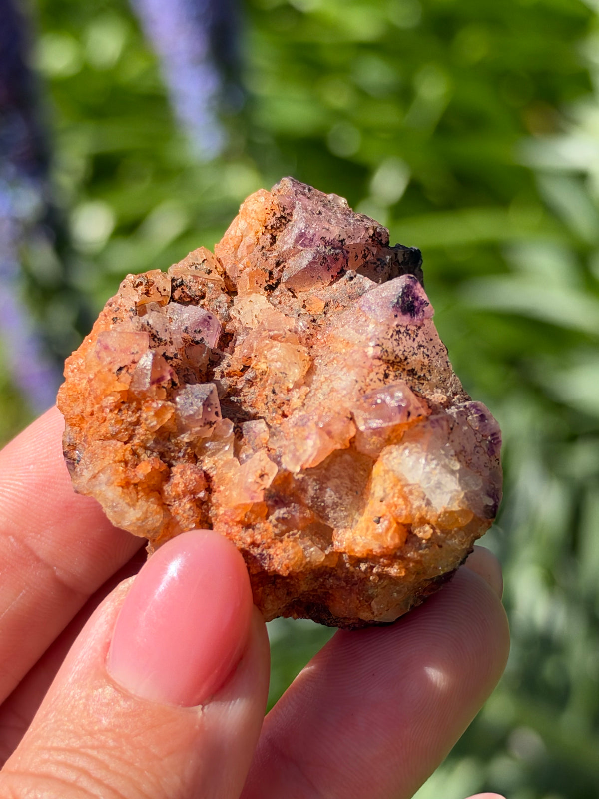 Octahedral Fluorite, Soldiers Cap, QLD, Australia