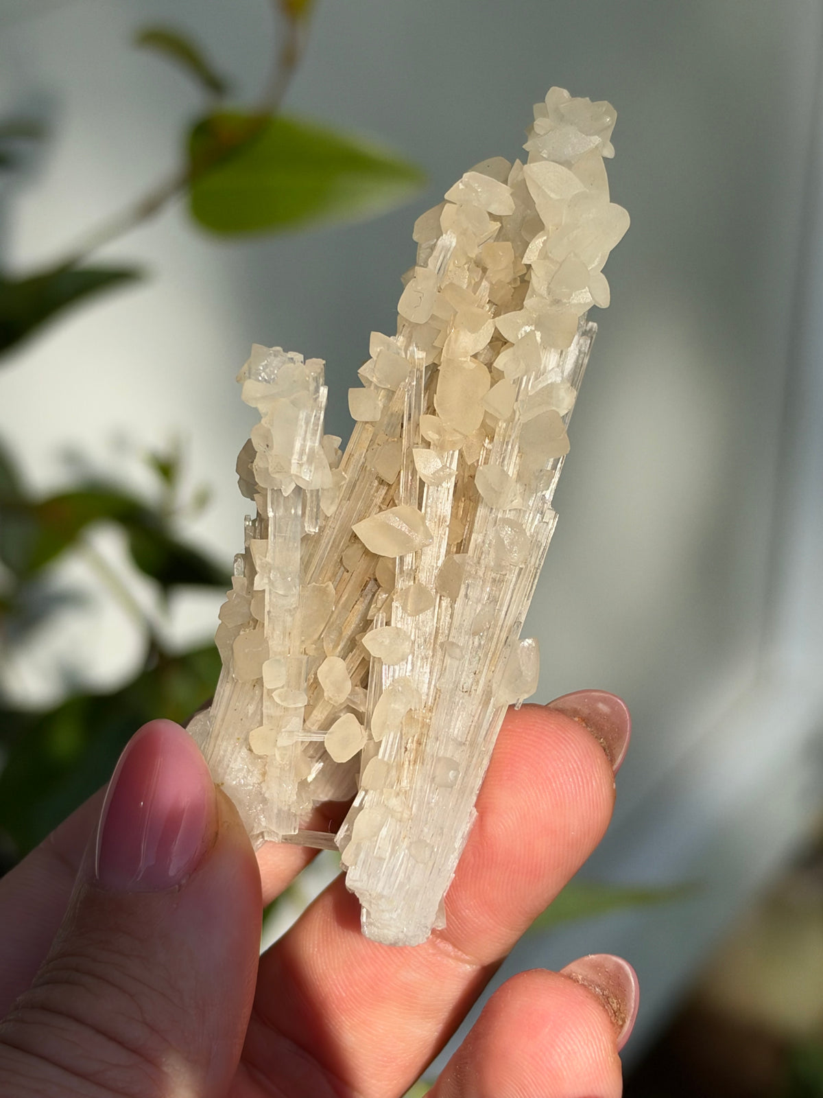 Calcite on Scolecite, Pune, India