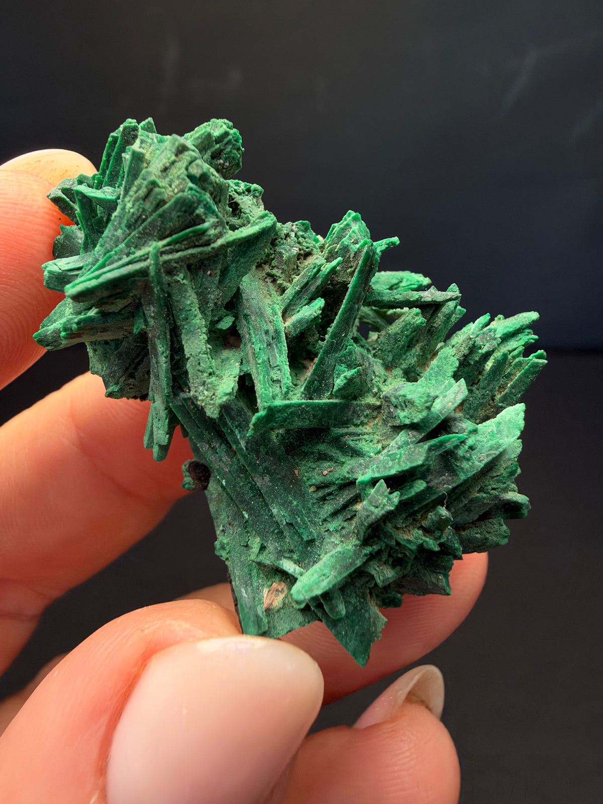 Malachite after Azurite (Pseudomorph), Kerrouchen, Morocco