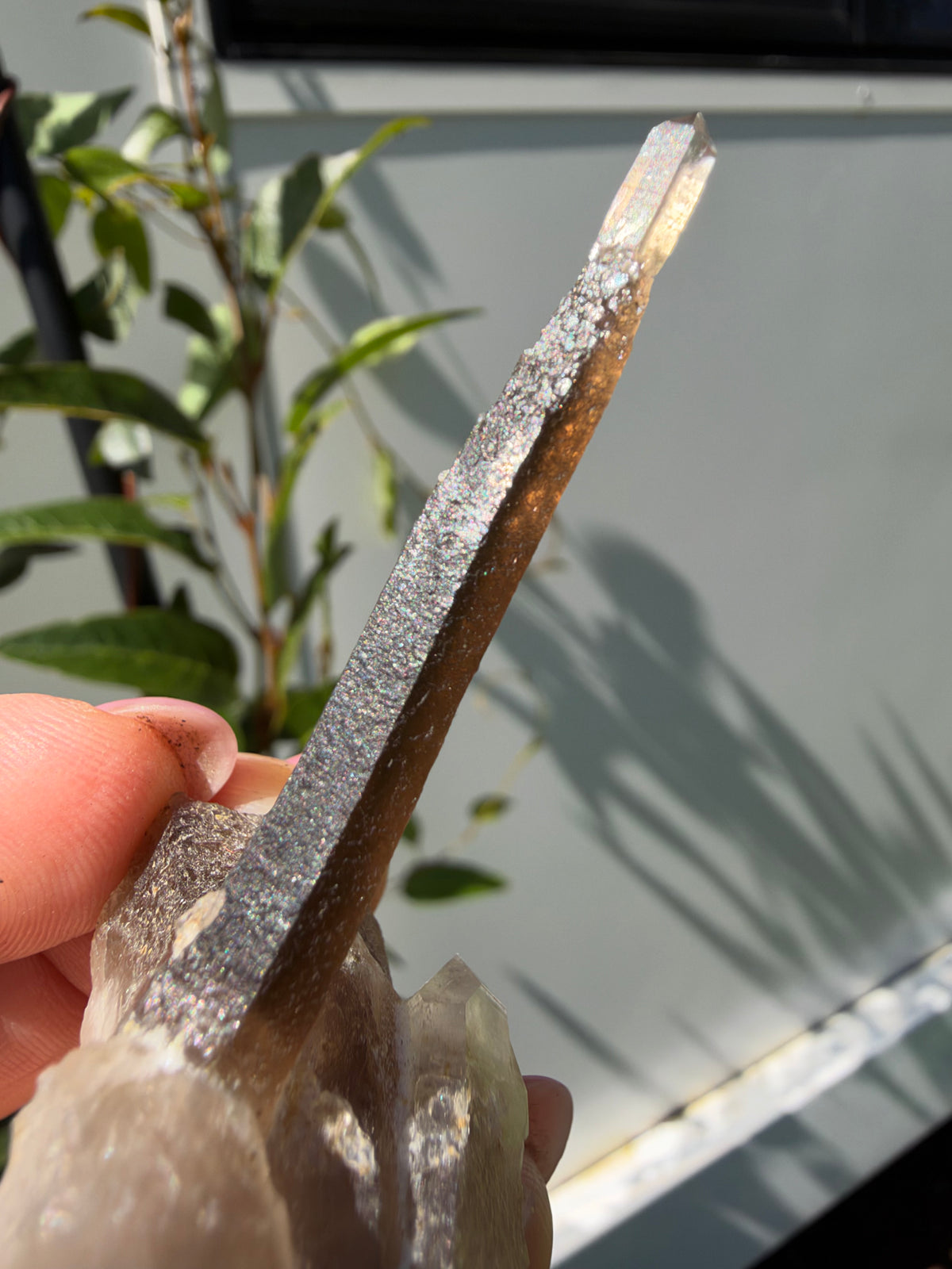 Smoky Quartz Scepter, Hallelujah Junction, Nevada, USA