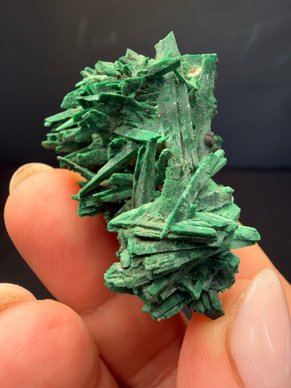 Malachite after Azurite (Pseudomorph), Kerrouchen, Morocco