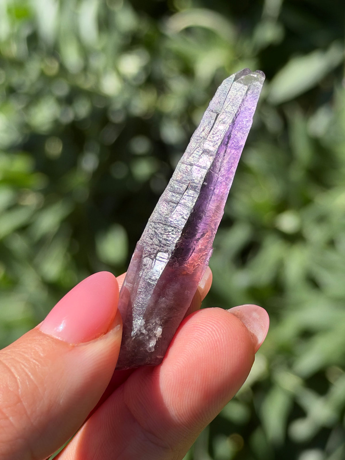 6.3cm Amethyst, Guerrero, Mexico