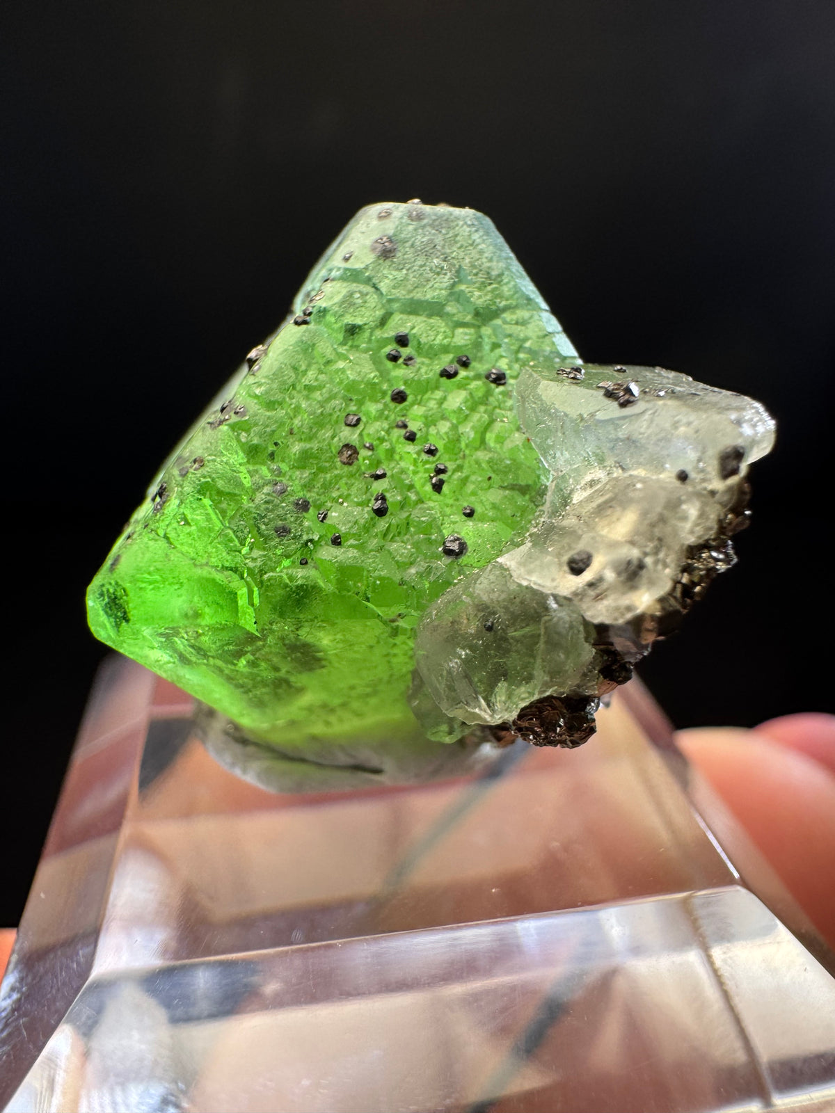 Fluorite with Sphalerite, Pyrite, Milpo Mine, Peru