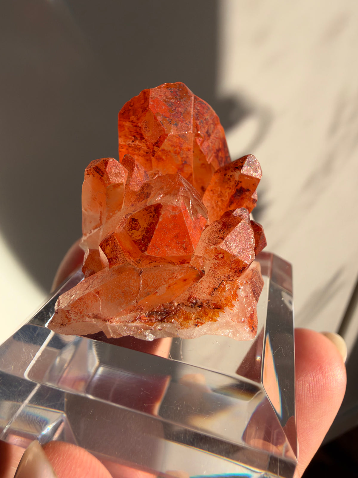 Ferruginous Quartz, Tinejdad, Morocco