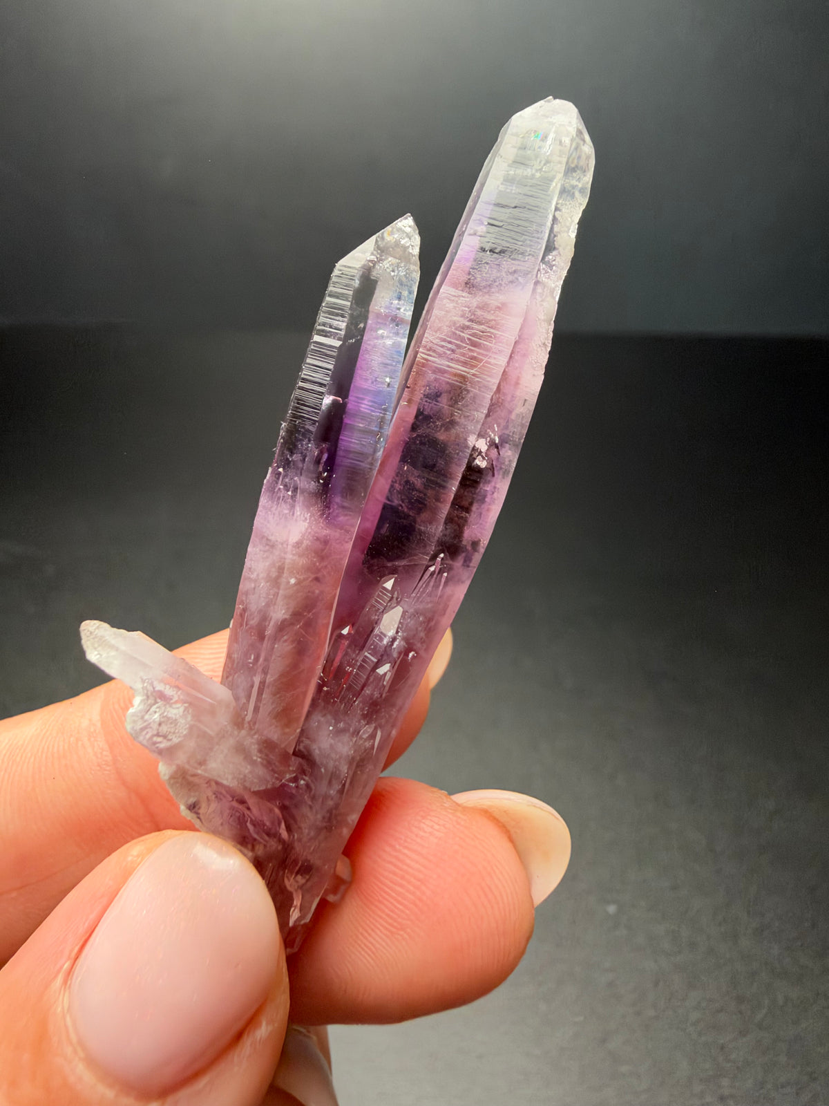 6.5cm Amethyst, Guerrero, Mexico