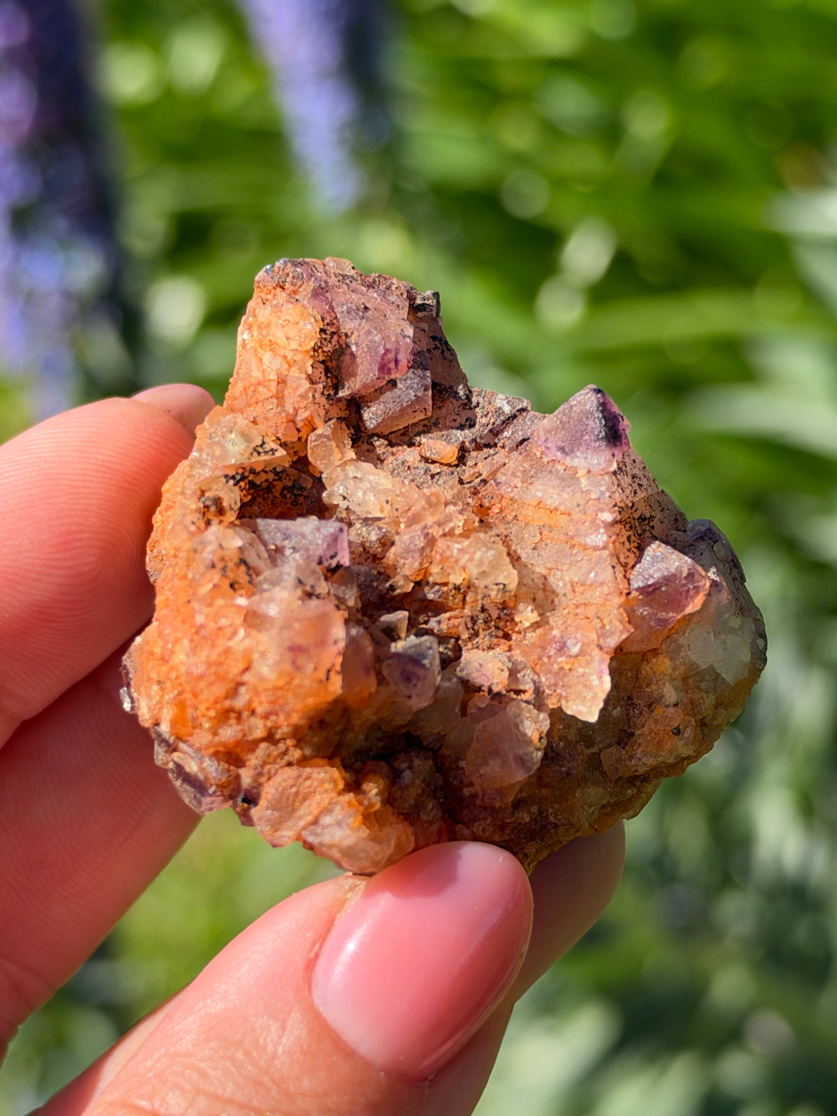 Octahedral Fluorite, Soldiers Cap, QLD, Australia
