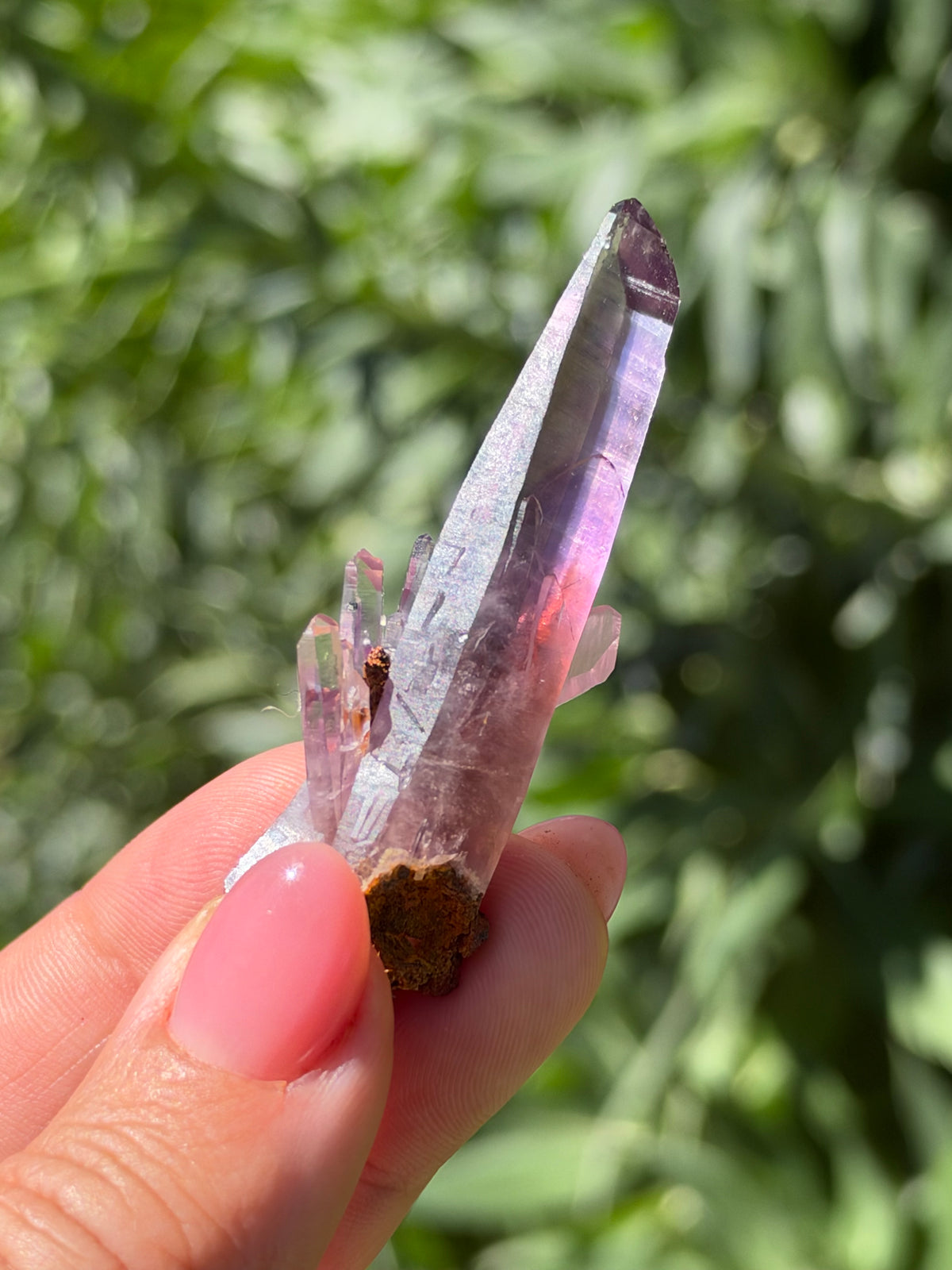 6.4cm Amethyst, Guerrero, Mexico