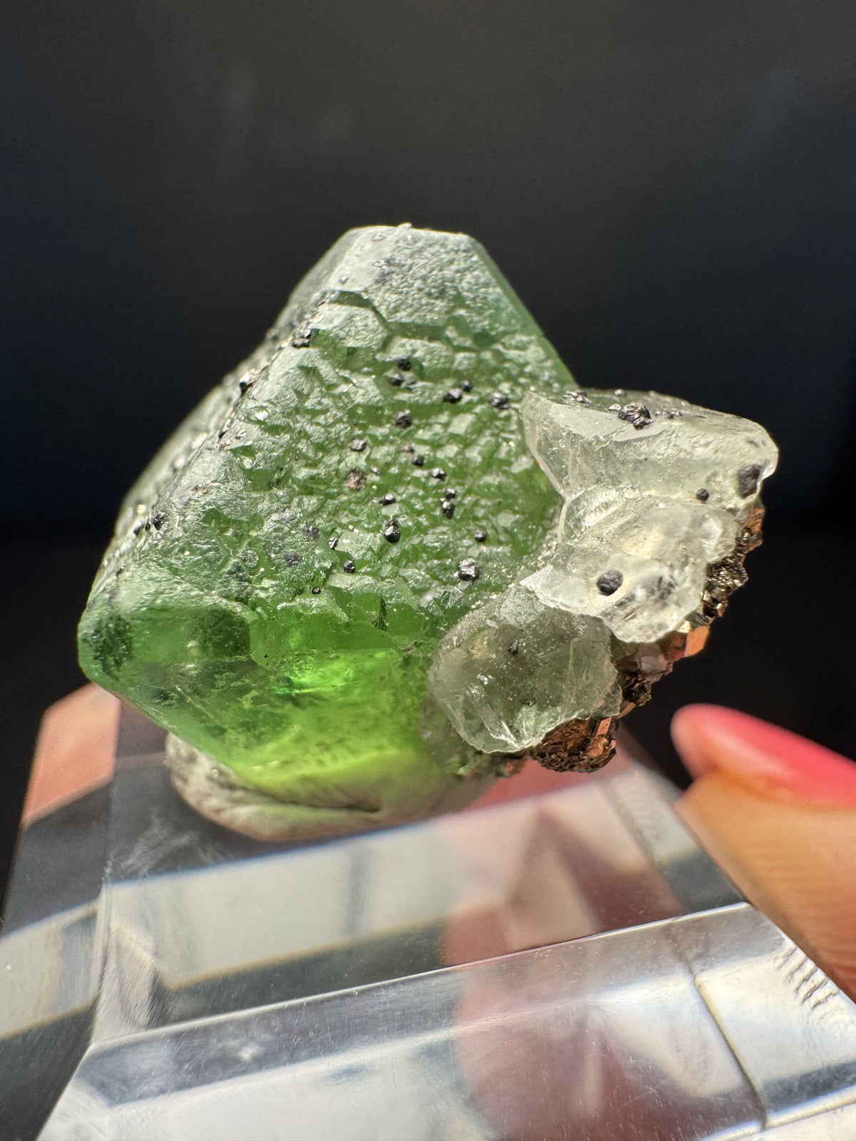Fluorite with Sphalerite, Pyrite, Milpo Mine, Peru