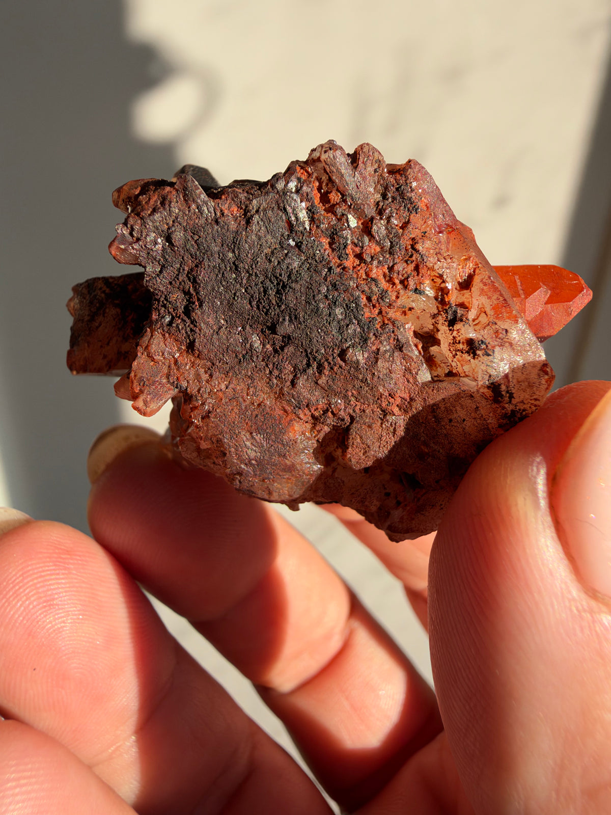 Ferruginous Quartz, Tinejdad, Morocco