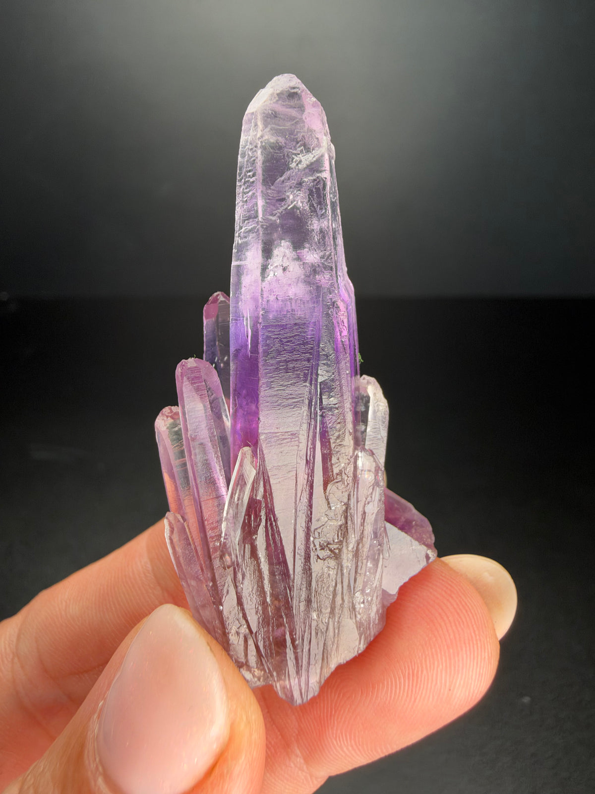5.7cm Amethyst, Guerrero, Mexico