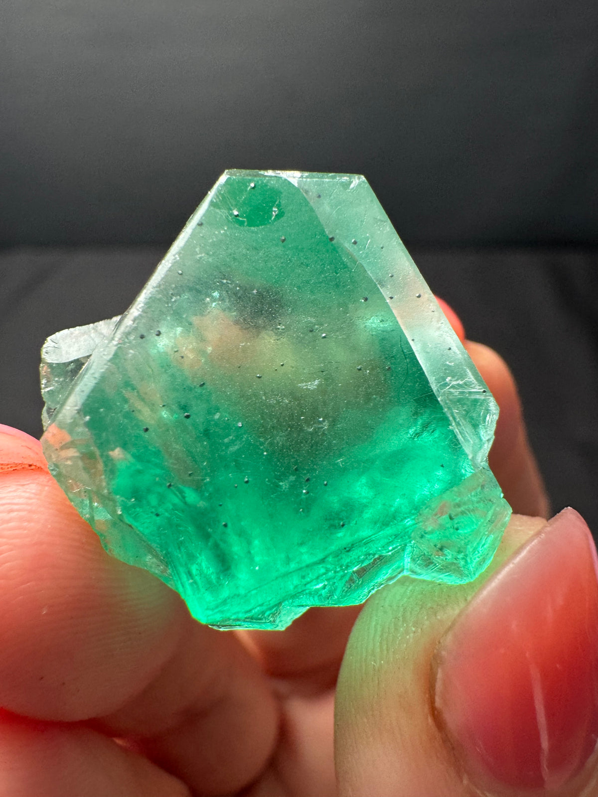 Fluorite with Galena, Milpo Mine, Peru