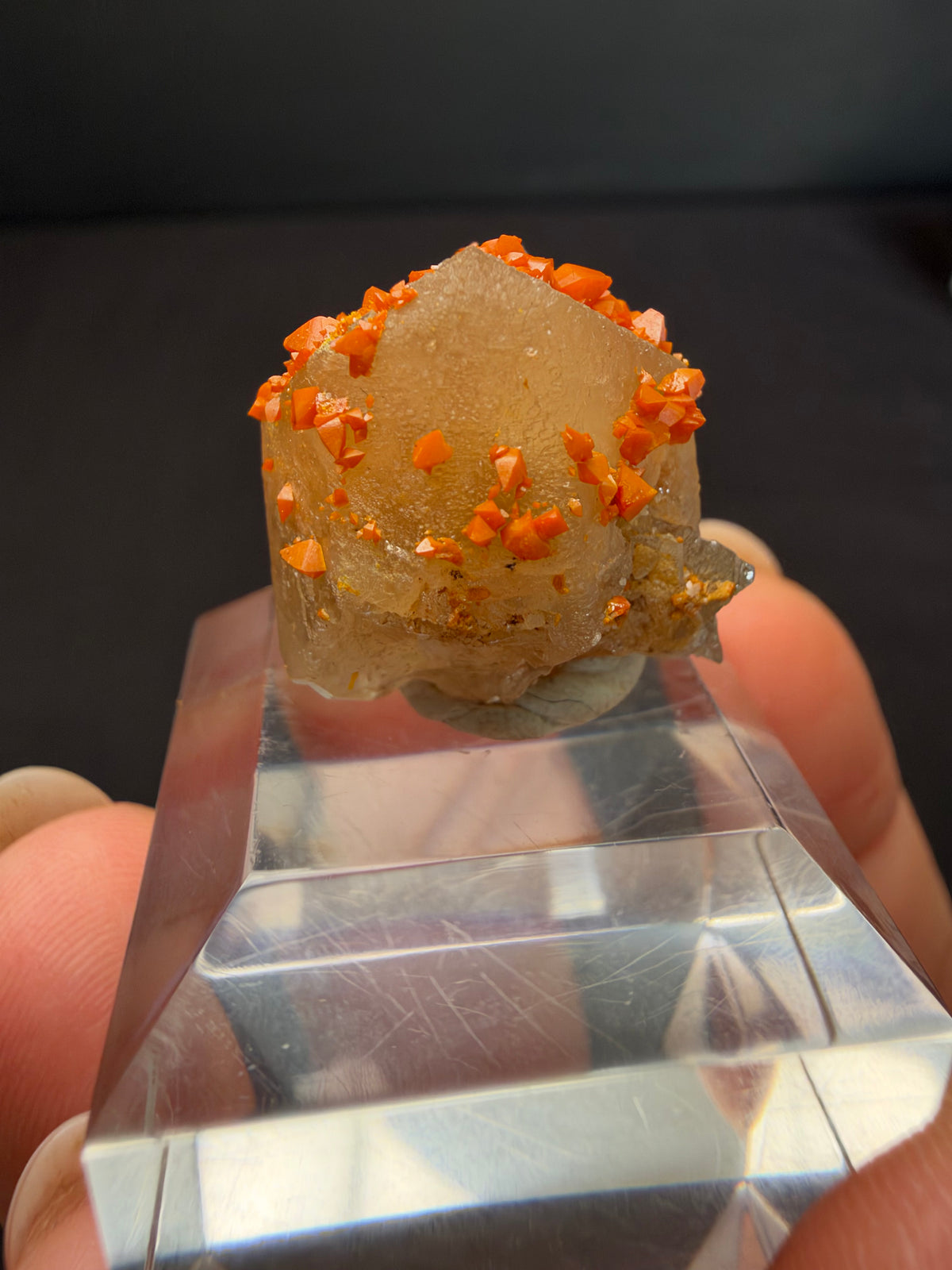 Wulfenite on Cerussite, Mibladen, Morocco