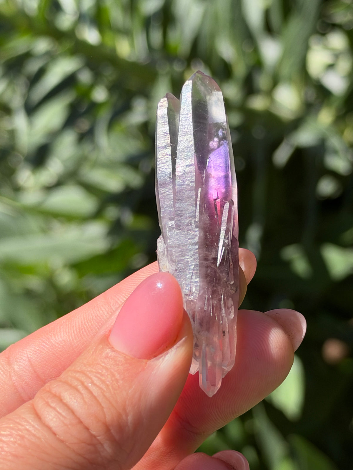 6.3cm Bowtie Amethyst, Guerrero, Mexico