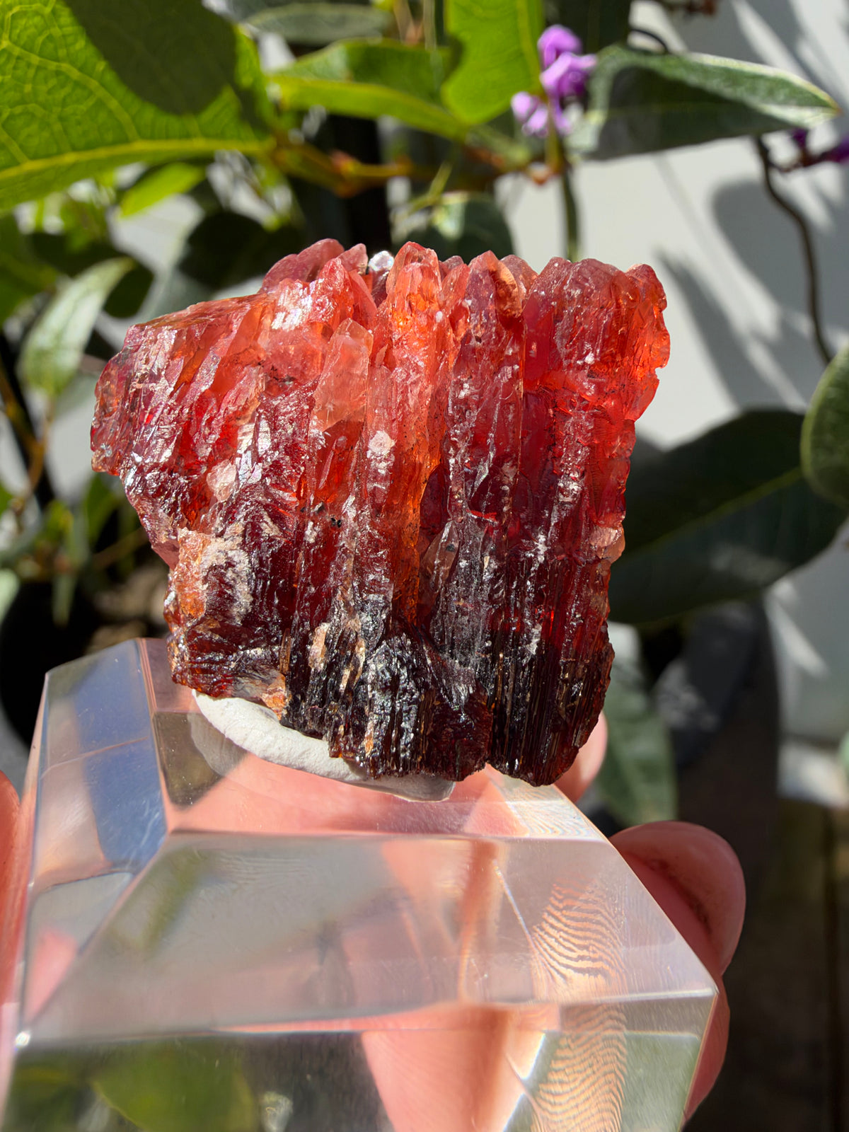 20.8g Rhodochrosite, N'Chwaning Mine, South Africa