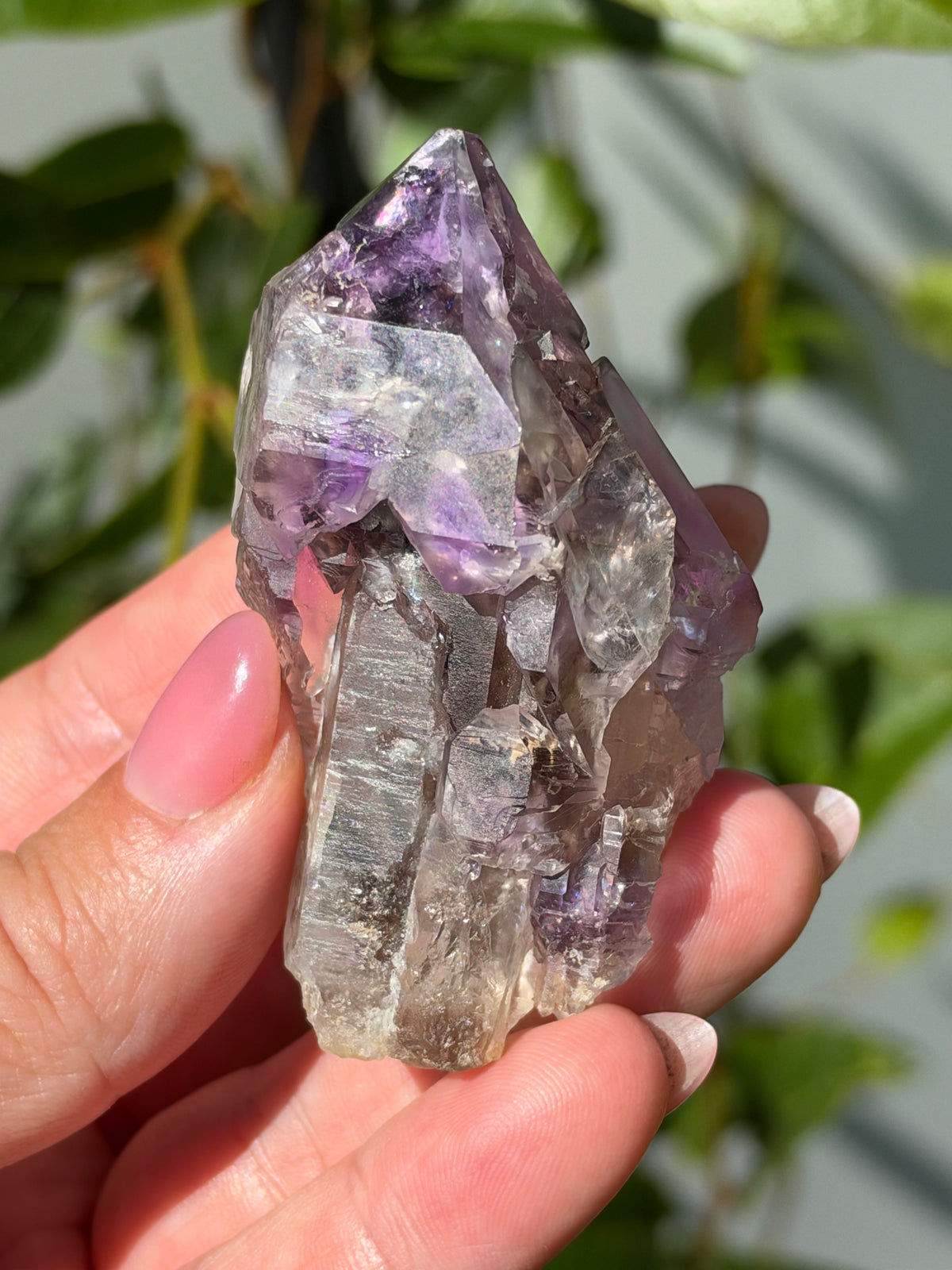 Amethyst Scepter, Little Gem Mine, Montana, USA