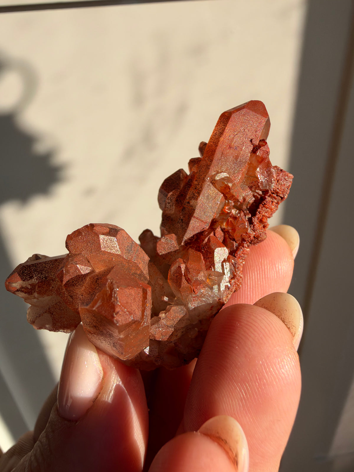 Ferruginous Quartz, Tinejdad, Morocco