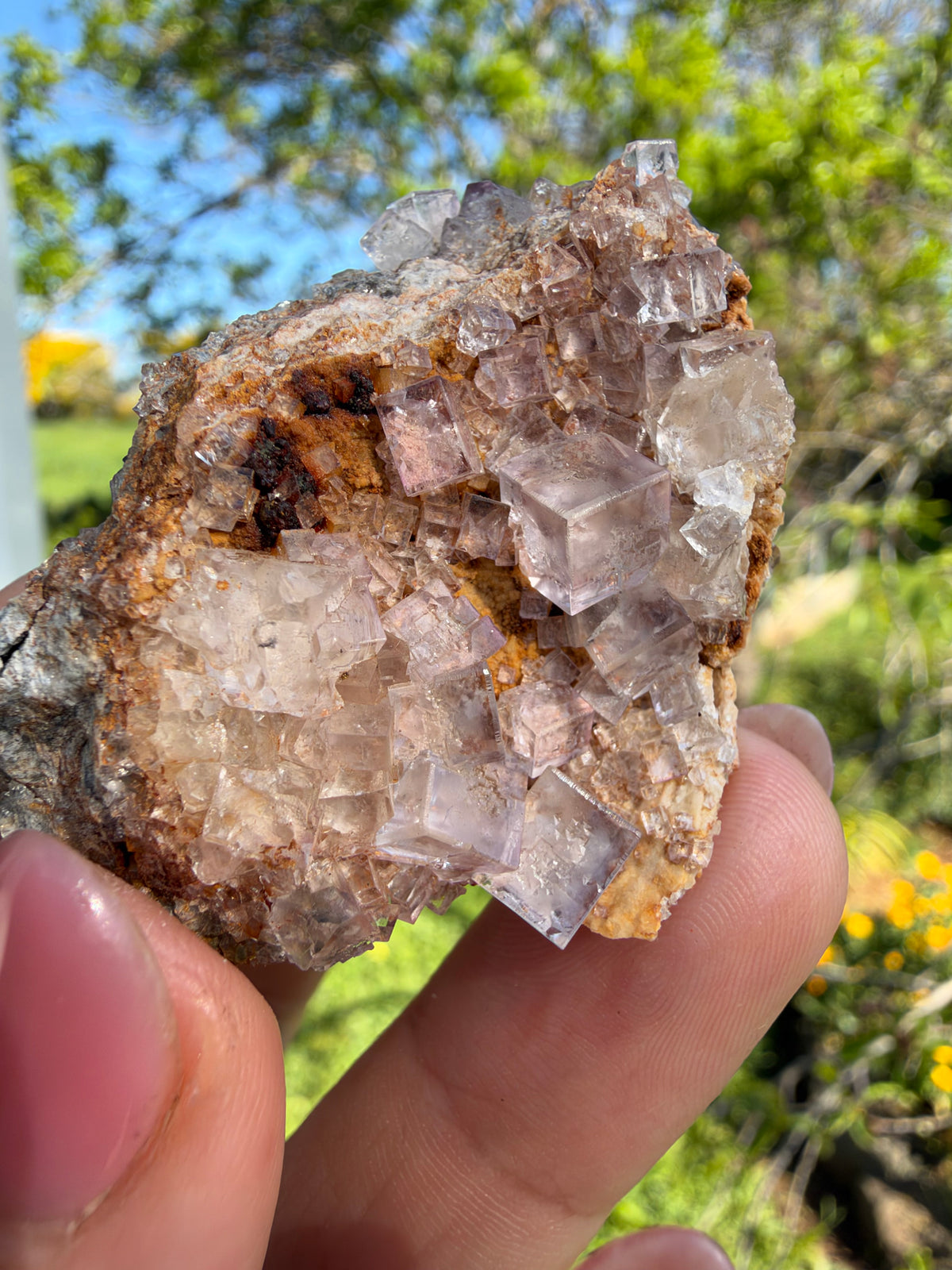 Fluorite, Hilarion Mine, Lavrion, Greece