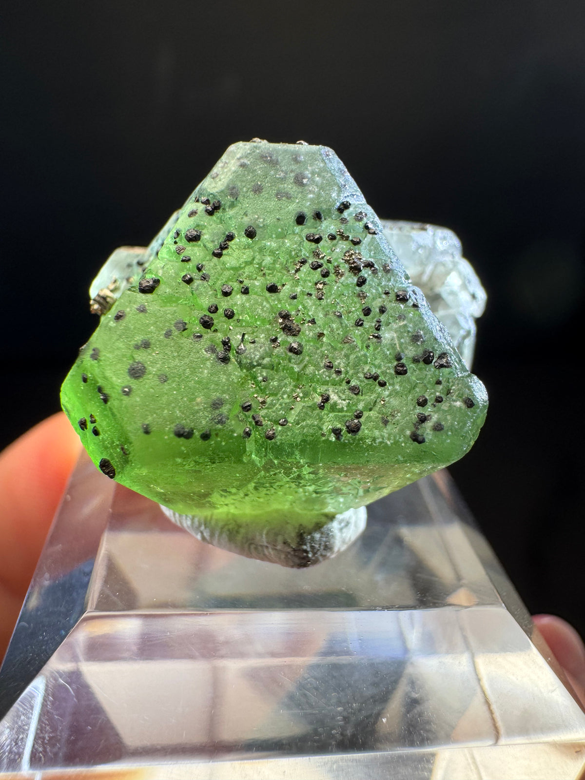 Fluorite with Sphalerite, Pyrite, Milpo Mine, Peru