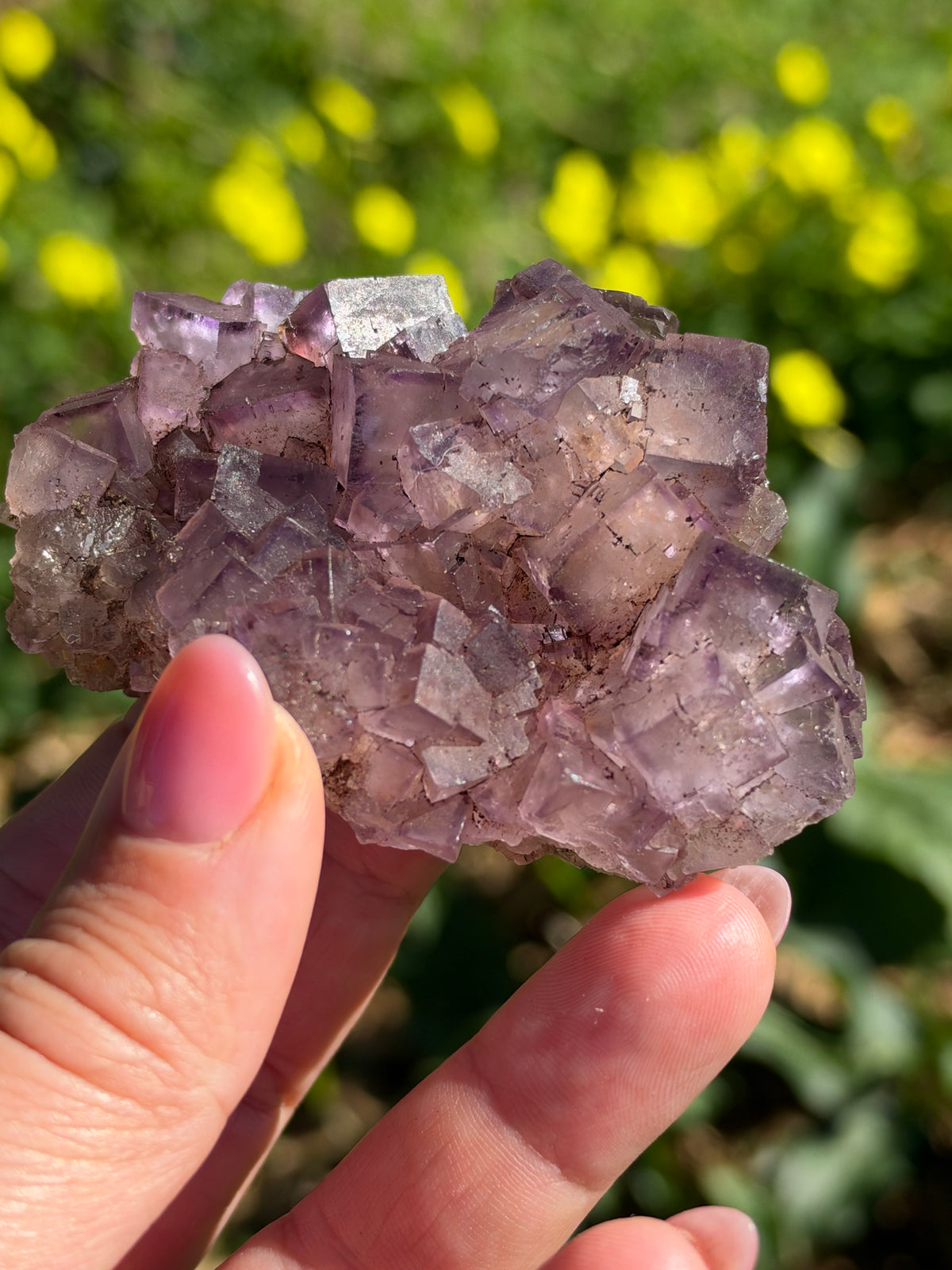 Fluorite, Turkey