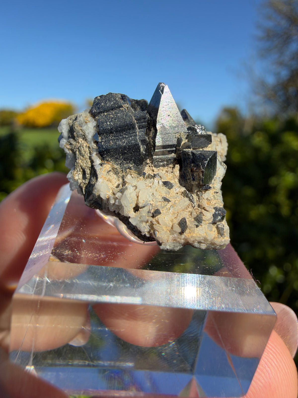 Anatase, Matskorhæ, Norway